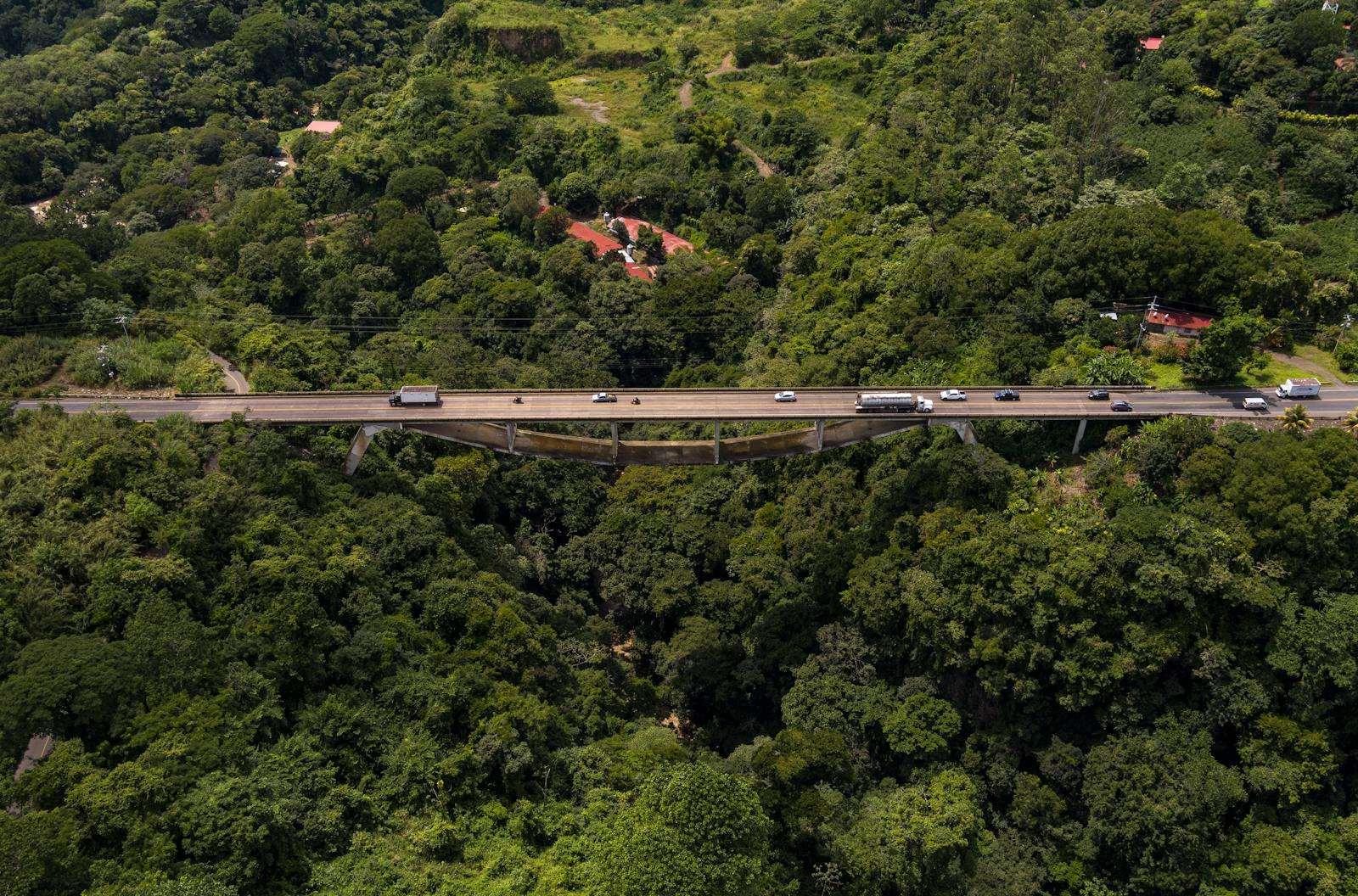 Route et pont traversant la forêt dense près de Grecia au Costa Rica