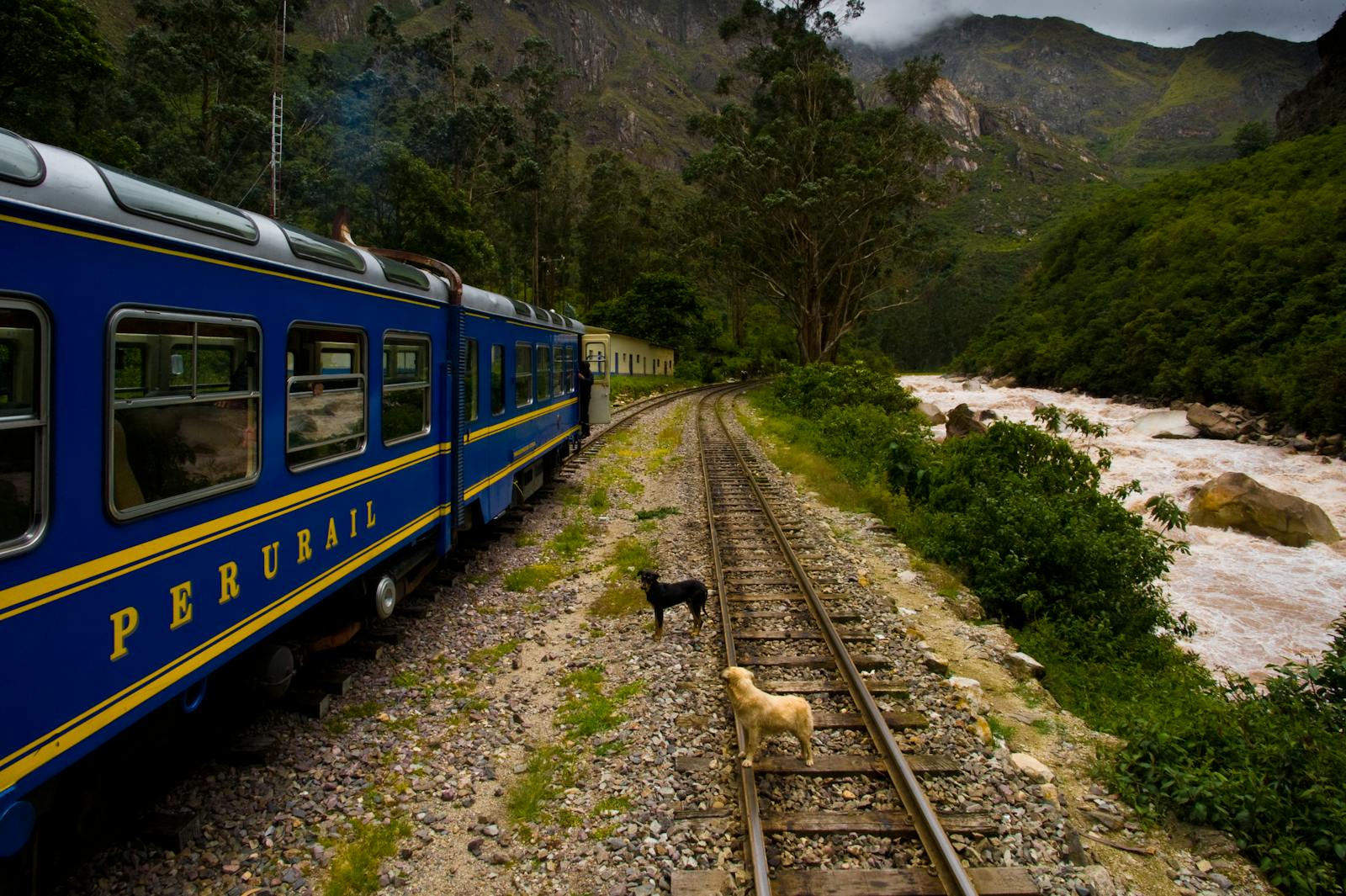 Train PeruRail bleu longeant la rivière Vilcanota dans les Andes péruviennes