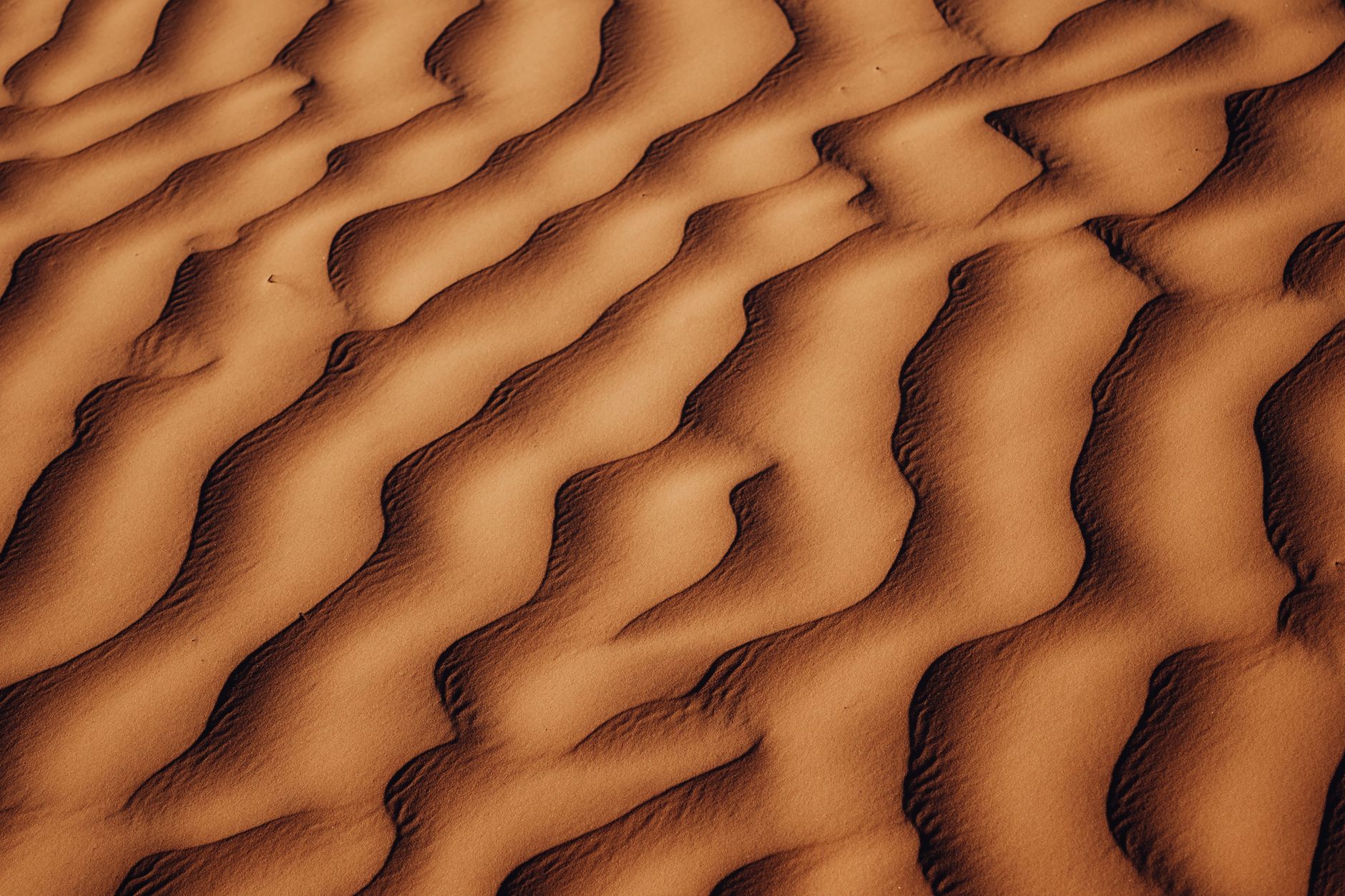 Dunes du Sahara tunisien