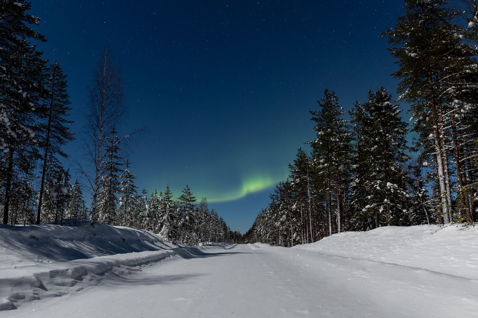 Aurores boréales au-dessus d'une route enneigée bordée de forêt en Finlande