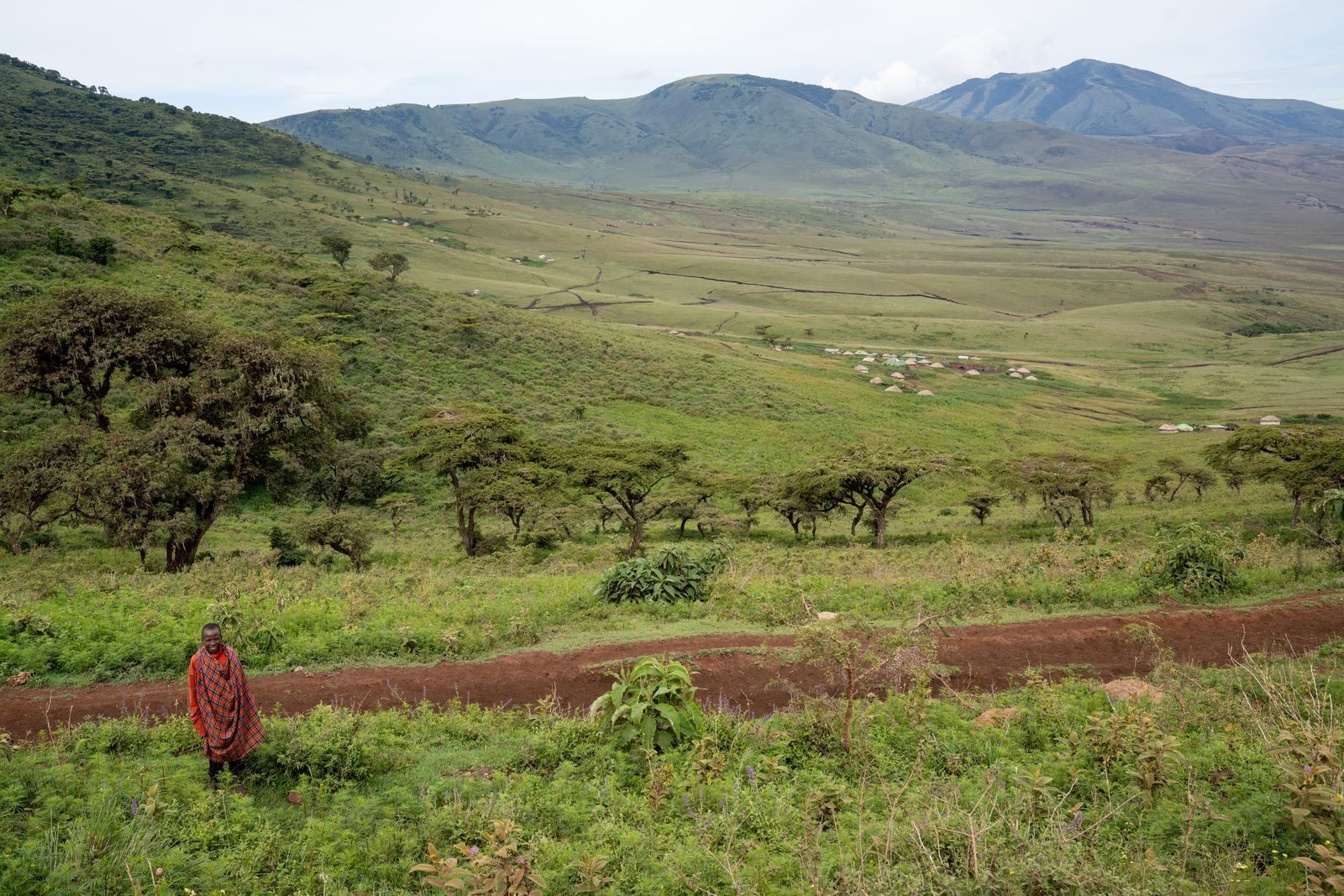 Le cratère du Ngorongoro vu depuis le rebord, Tanzanie