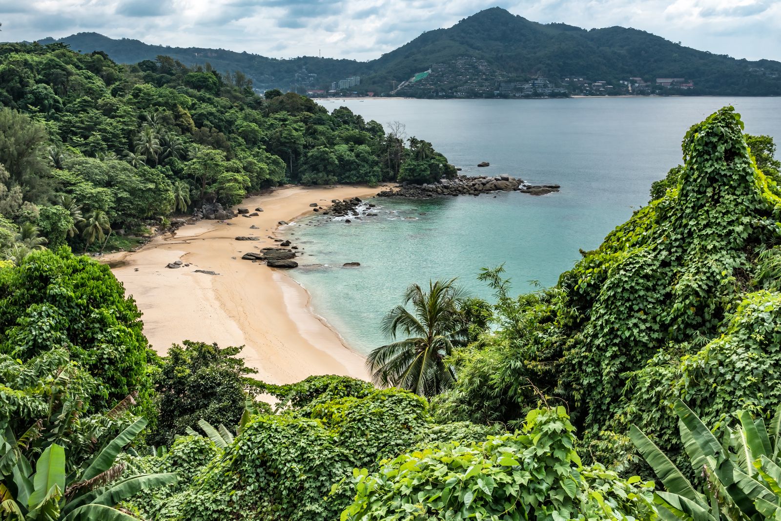 Crique tropicale abritée bordée de végétation dense sur la côte de Phuket