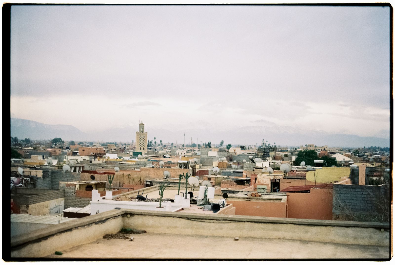 Toits de la médina de Marrakech au coucher du soleil avec les sommets de l'Atlas en arrière-plan