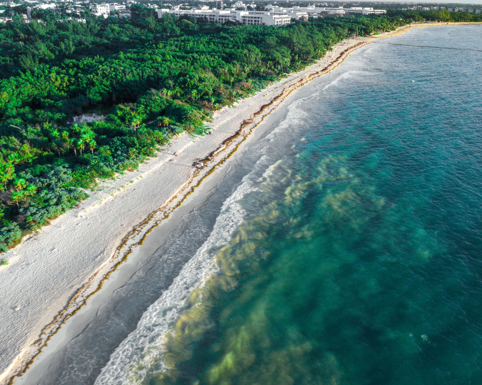 Vue aérienne de la plage et de la végétation de Playa del Carmen