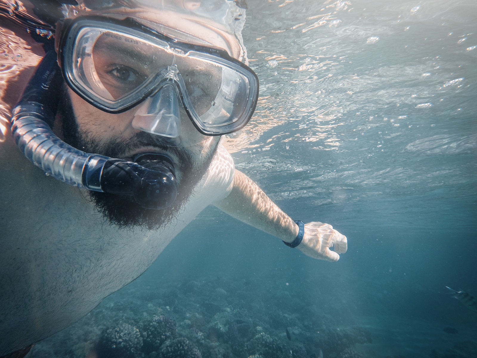Plongeur en snorkeling explorant les fonds marins de la mer Rouge en Égypte