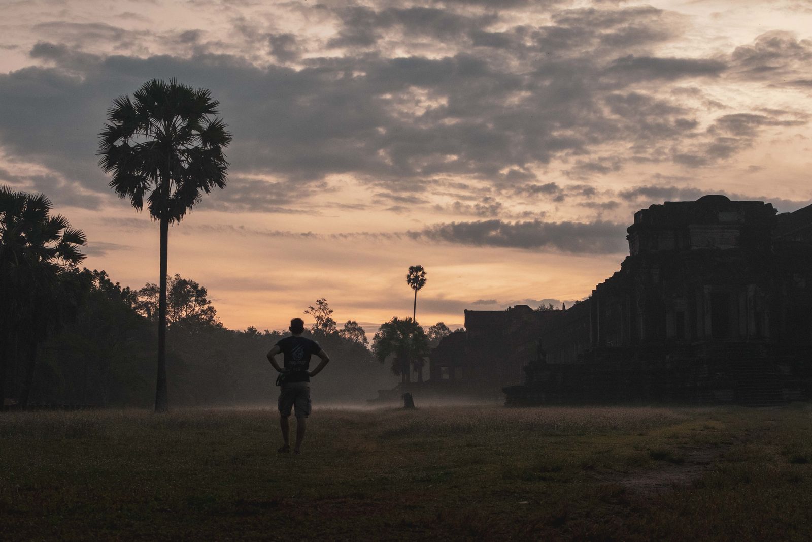 Silhouette d'un homme près d'Angkor Wat au lever du soleil, entouré de palmiers