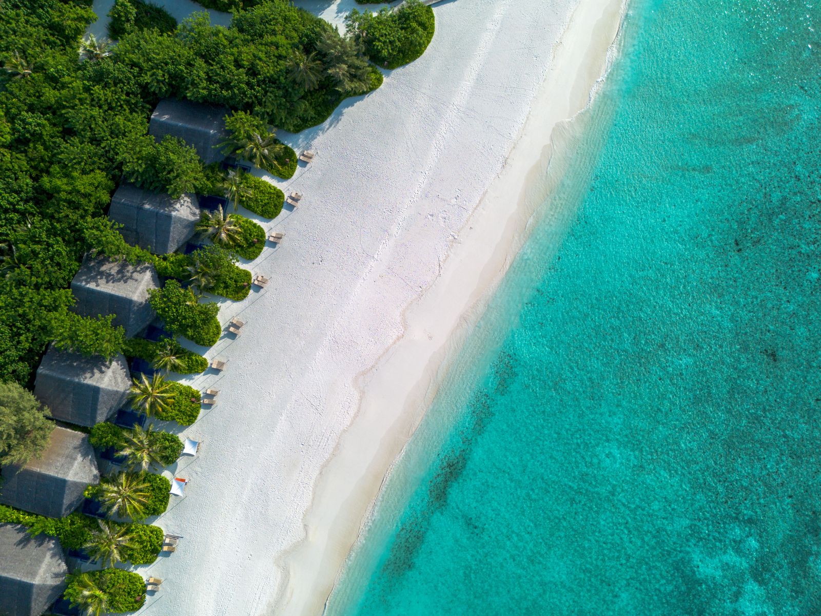 Plage de sable blanc bordée de villas et lagon turquoise, Maldives