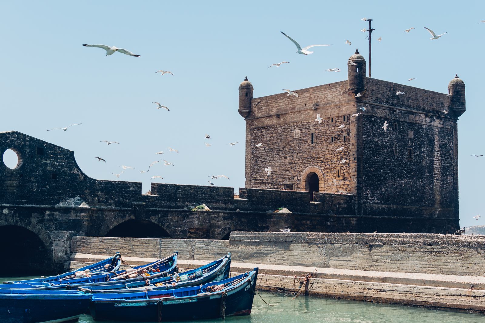 La citadelle d Essaouira et son port de pêche survolés par des mouettes