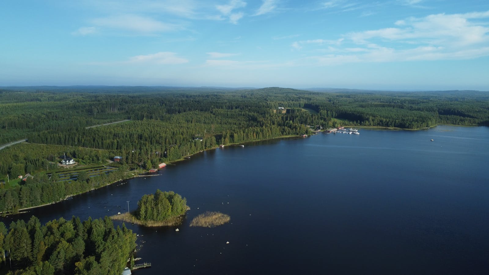 Lac finlandais paisible entouré de forêts denses vu du ciel en été