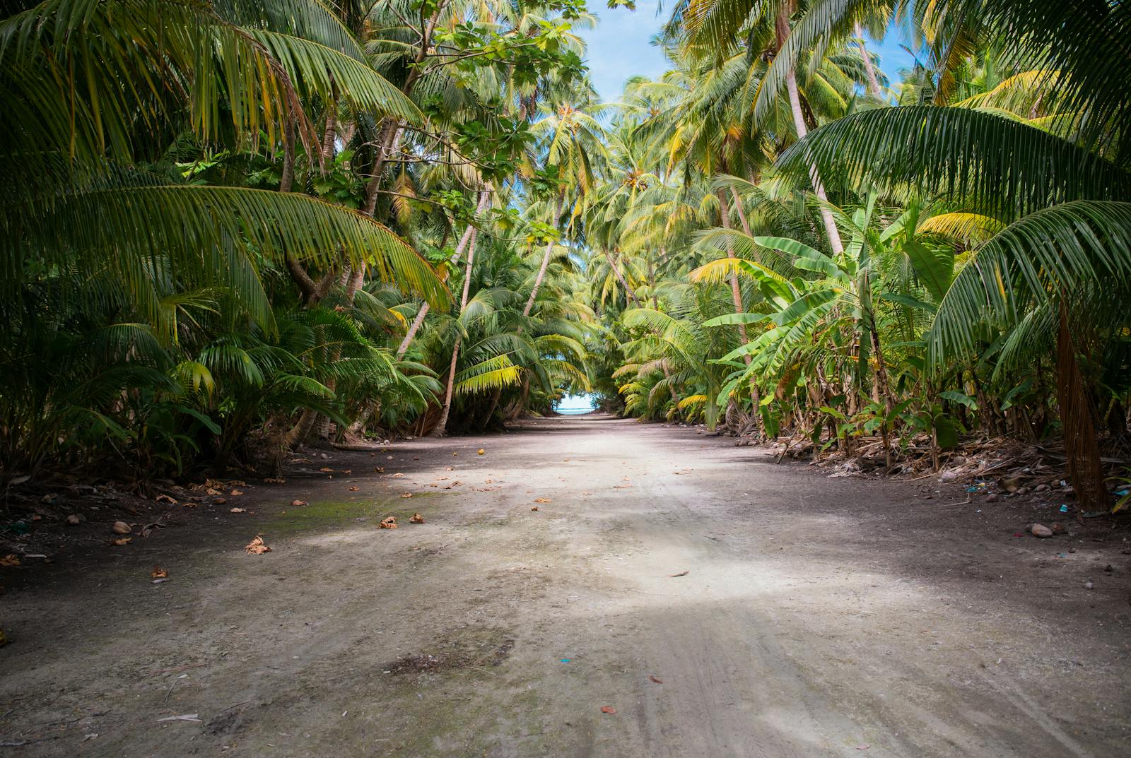 Ruelles colorées de Malé, capitale des Maldives