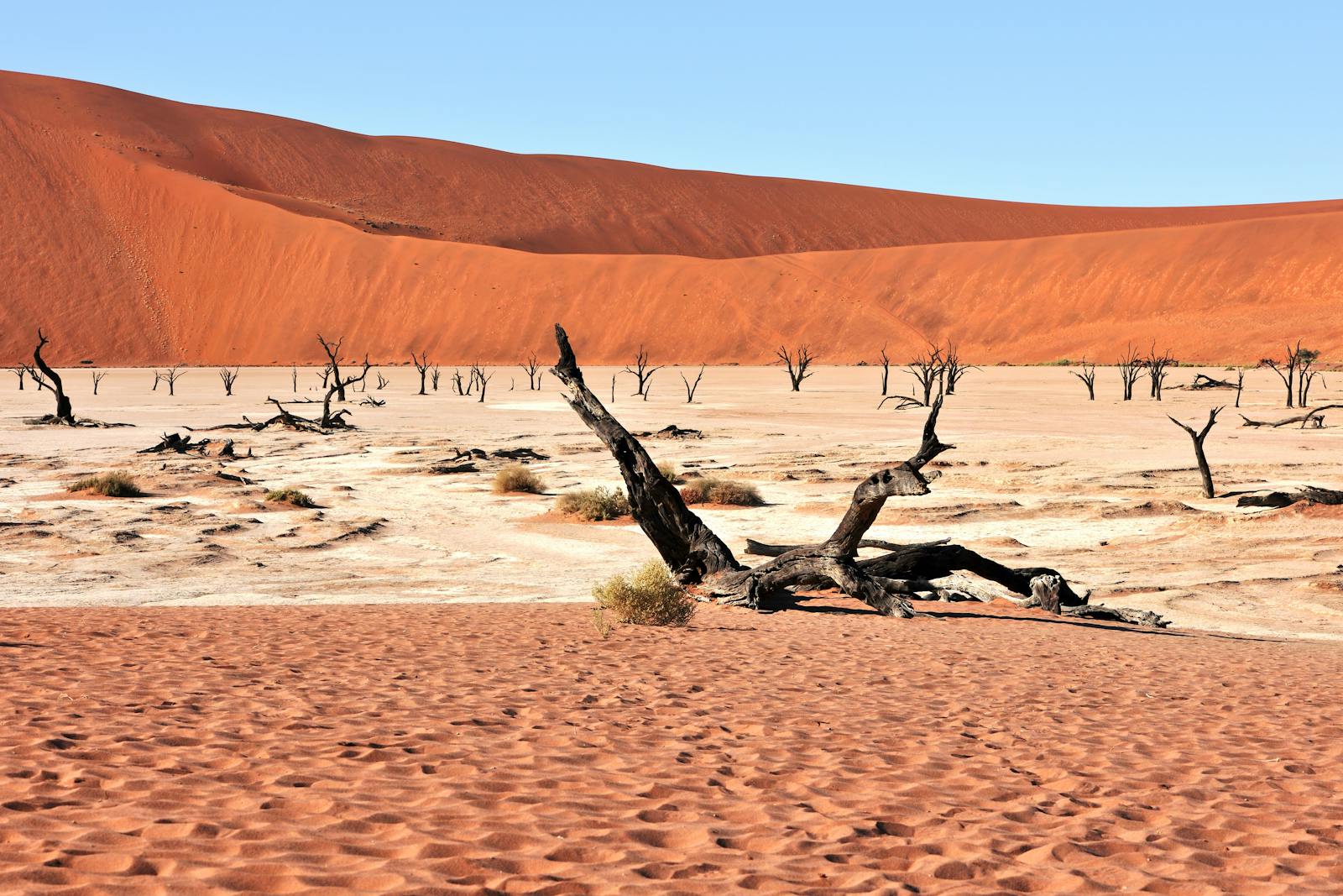 Dunes orange de Sossusvlei et arbres pétrifiés de Deadvlei, Namibie
