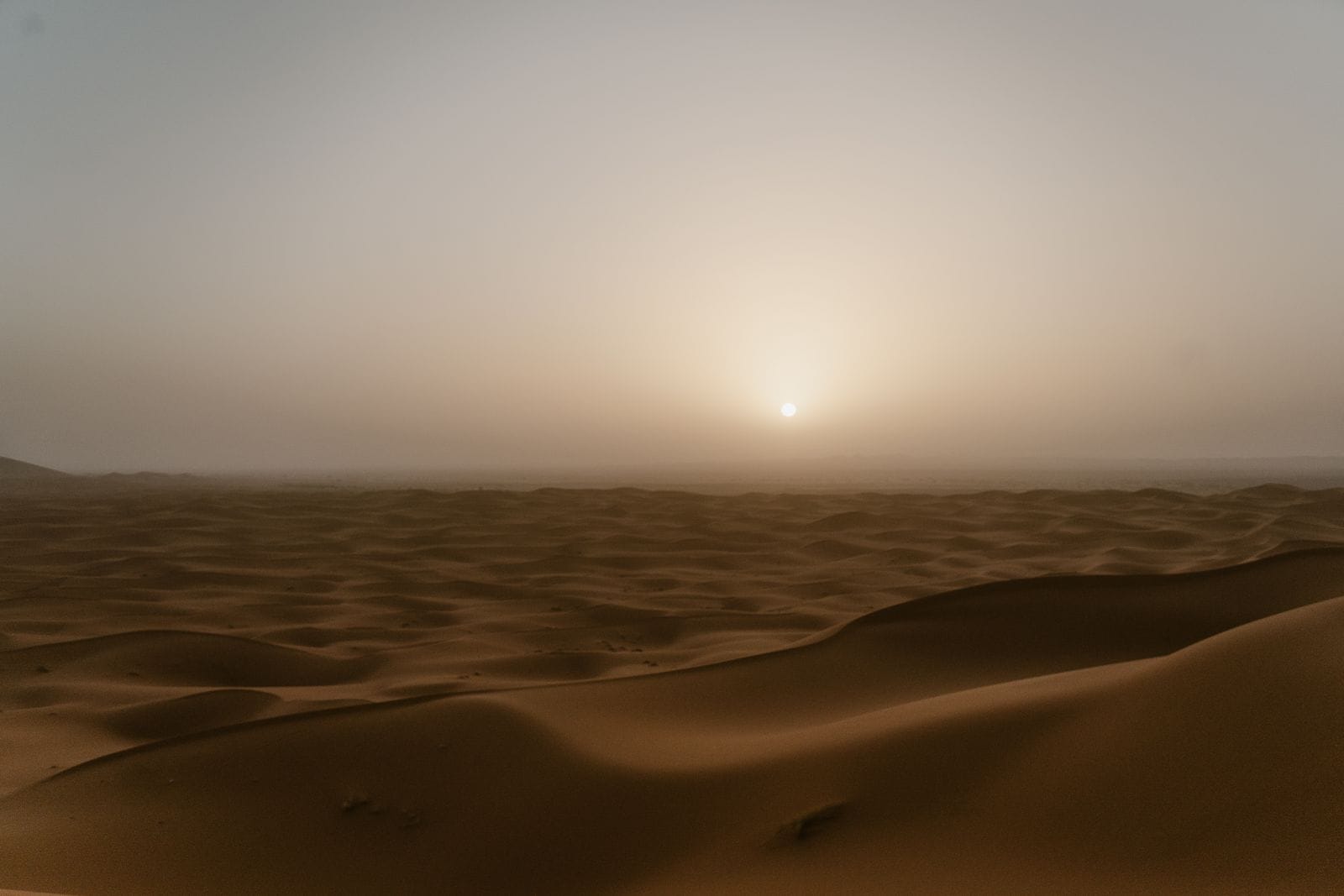 Dunes orangées du Sahara marocain au coucher du soleil