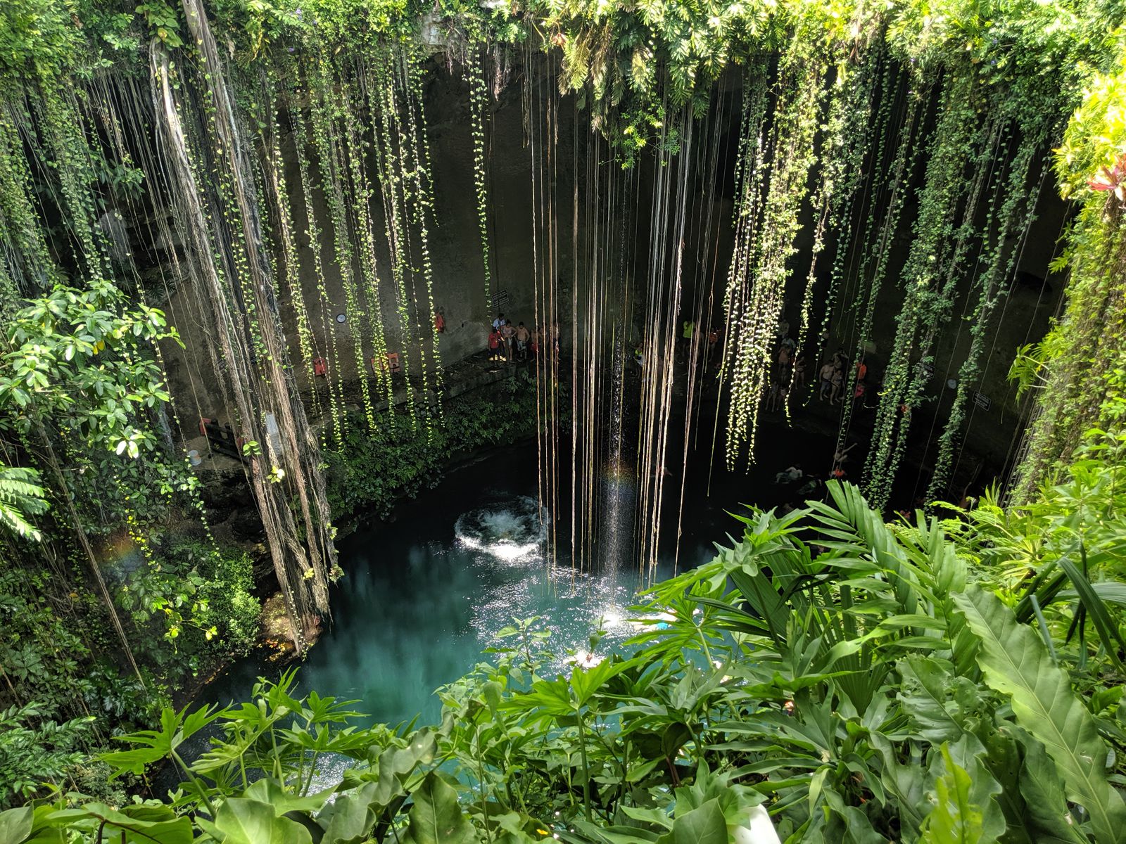 Cenote Ik Kil entouré de végétation luxuriante au Yucatan