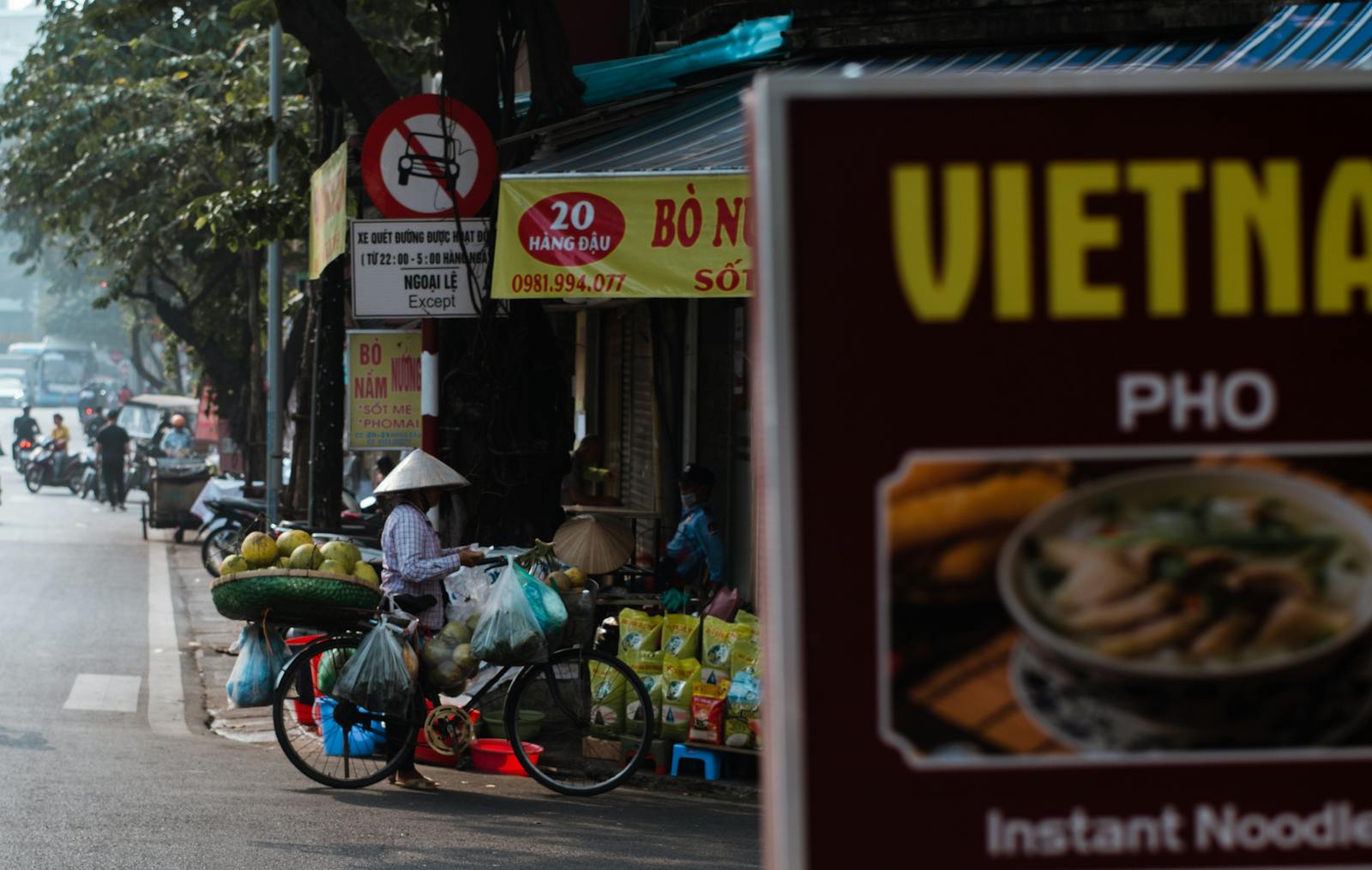 Vendeuse de rue vietnamienne avec son vélo chargé de fruits à Hanoï