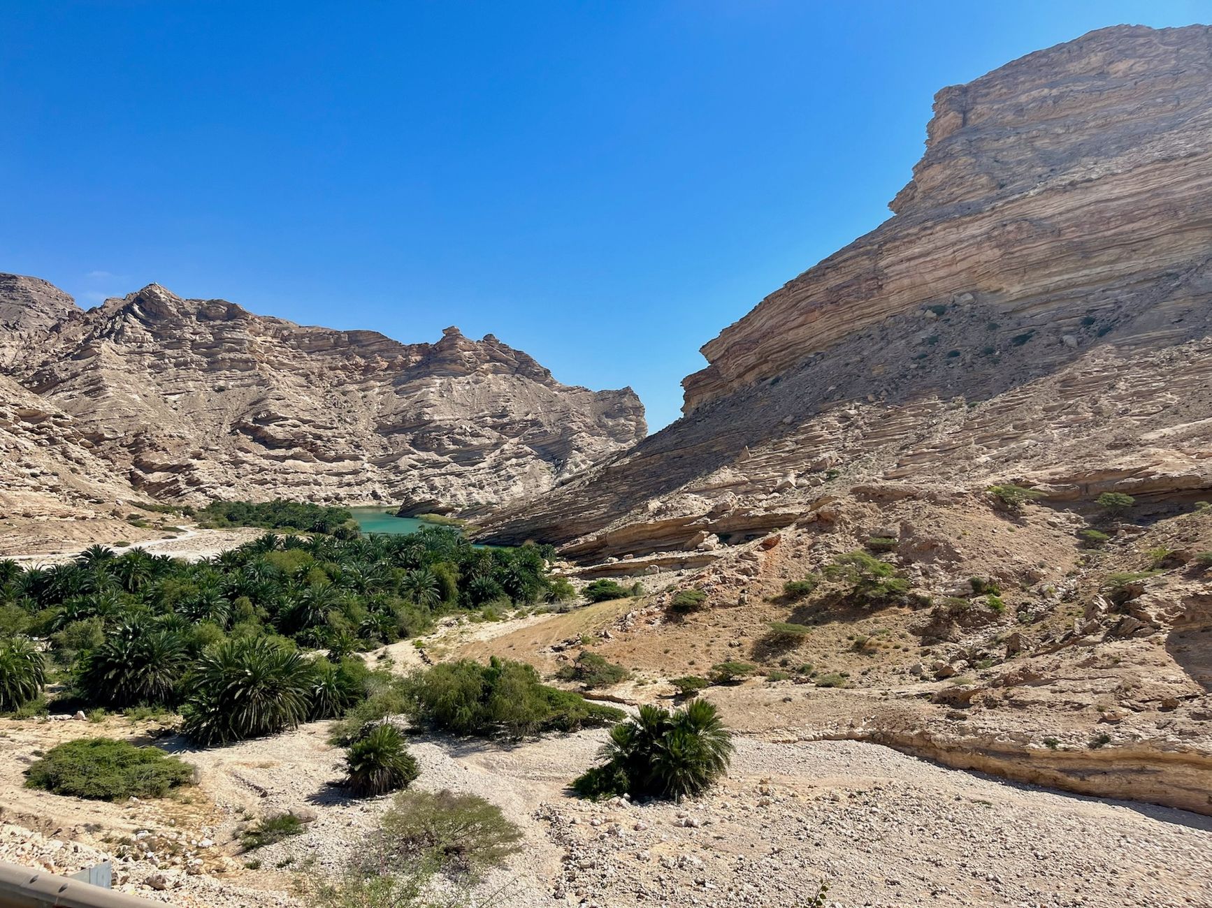 Canyon verdoyant et parois rocheuses d'un wadi omanais