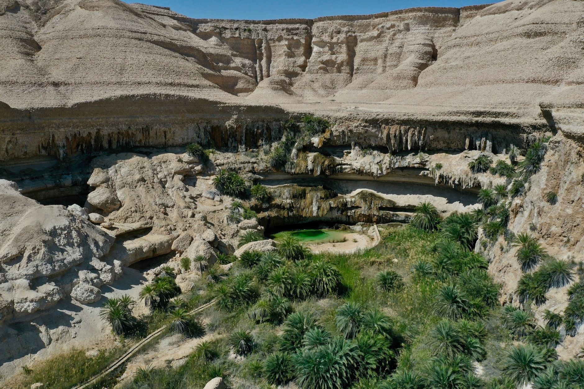 Oasis nichée dans un canyon calcaire d'Oman, vue aérienne