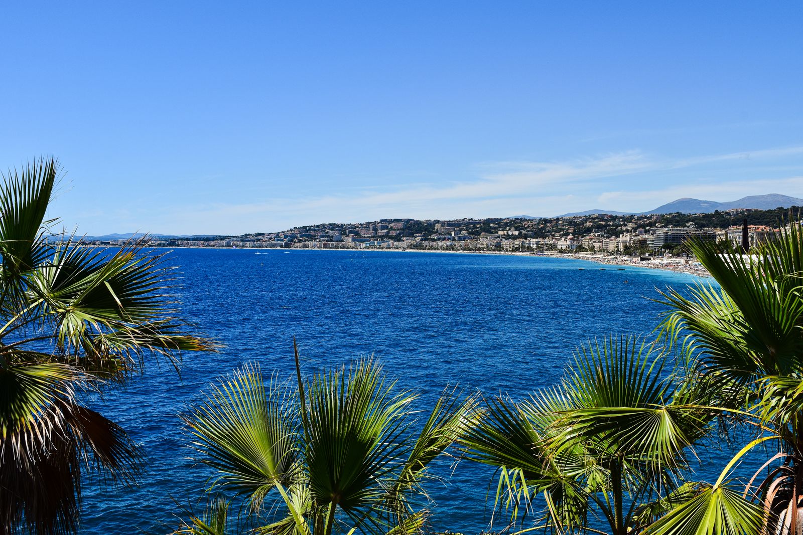 Île boisée aux eaux claires au large de Cannes