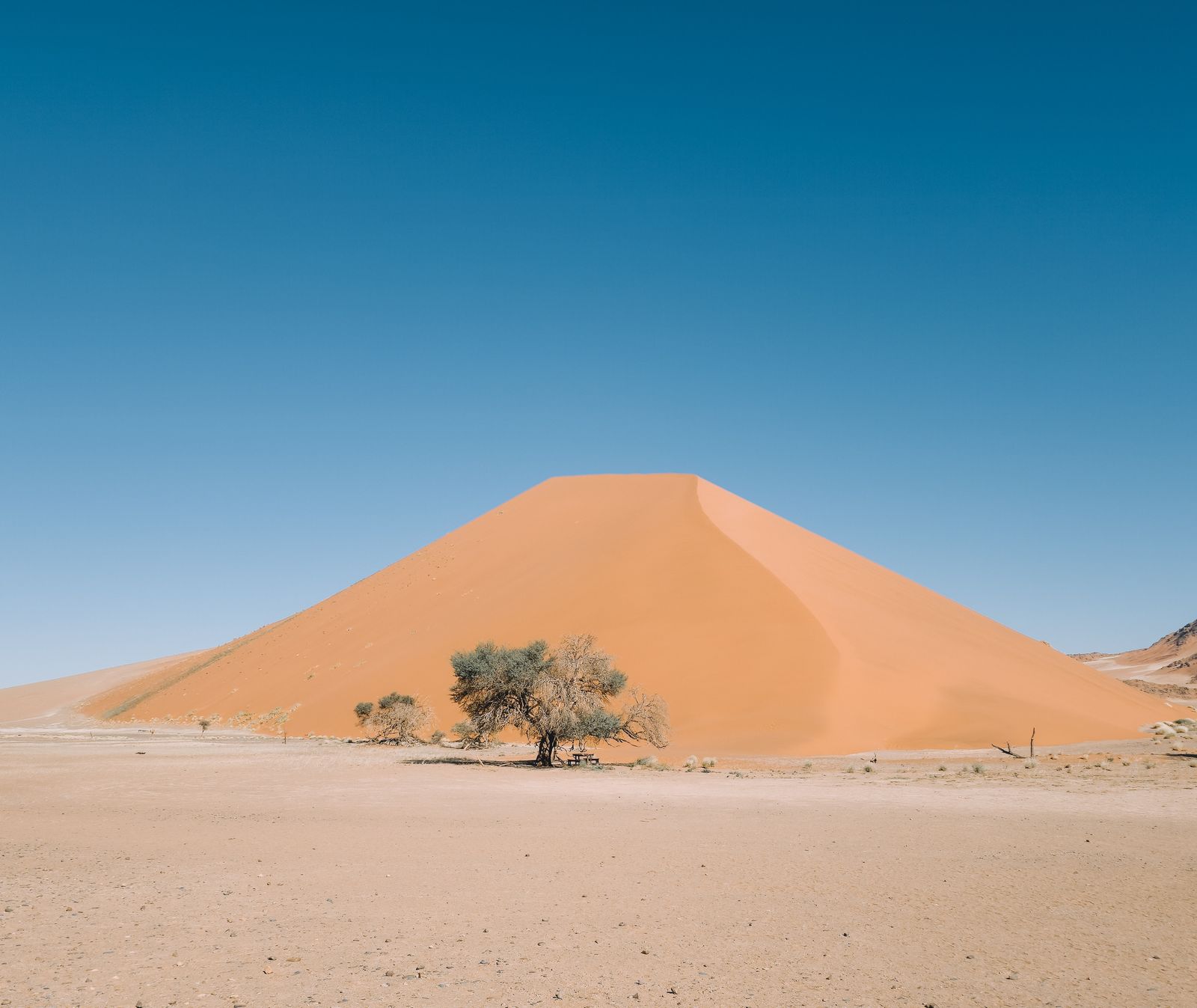 Dune orange de Sossusvlei et son arbre solitaire, Namibie