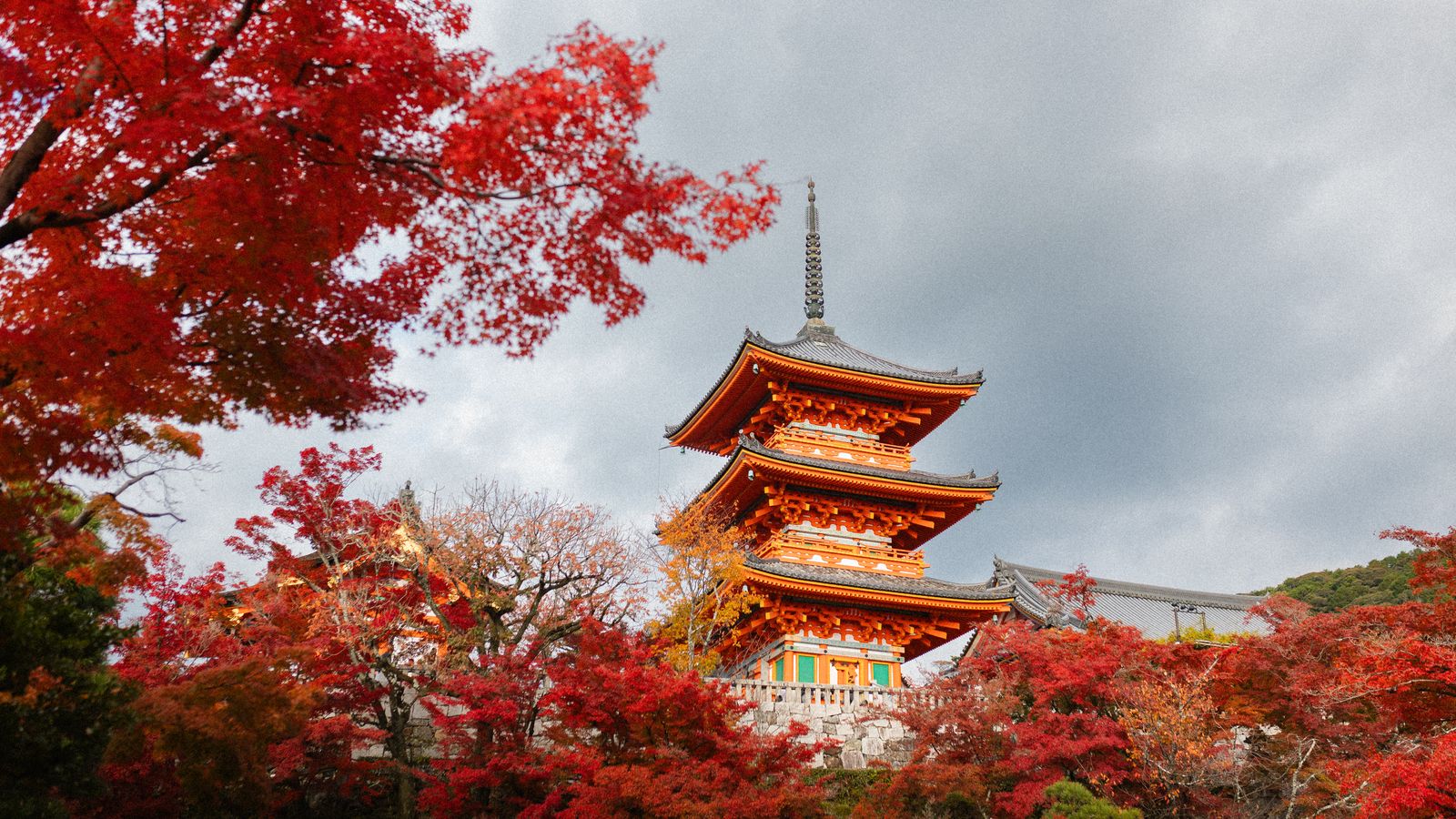 Le temple Kiyomizu-dera de Kyoto entouré de feuillages d automne rougeoyants