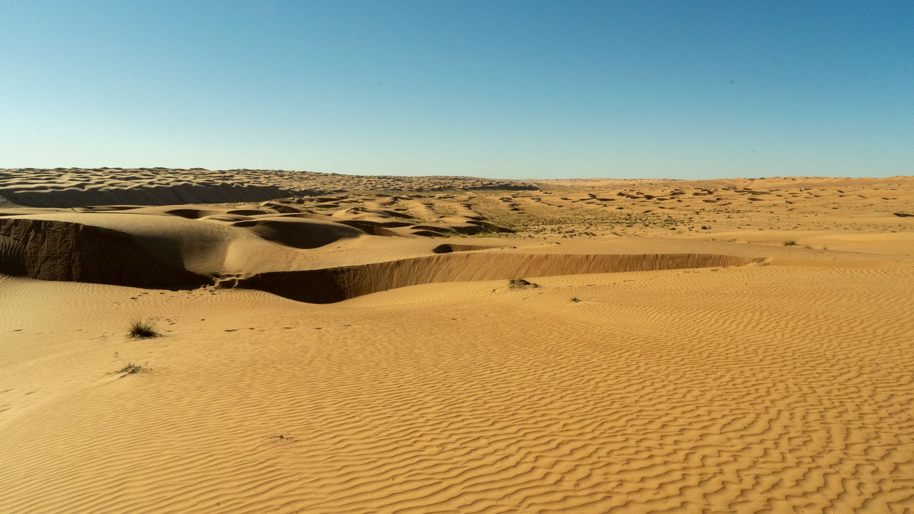Vastes dunes de sable sous un ciel bleu dégagé, désert d'Arabie
