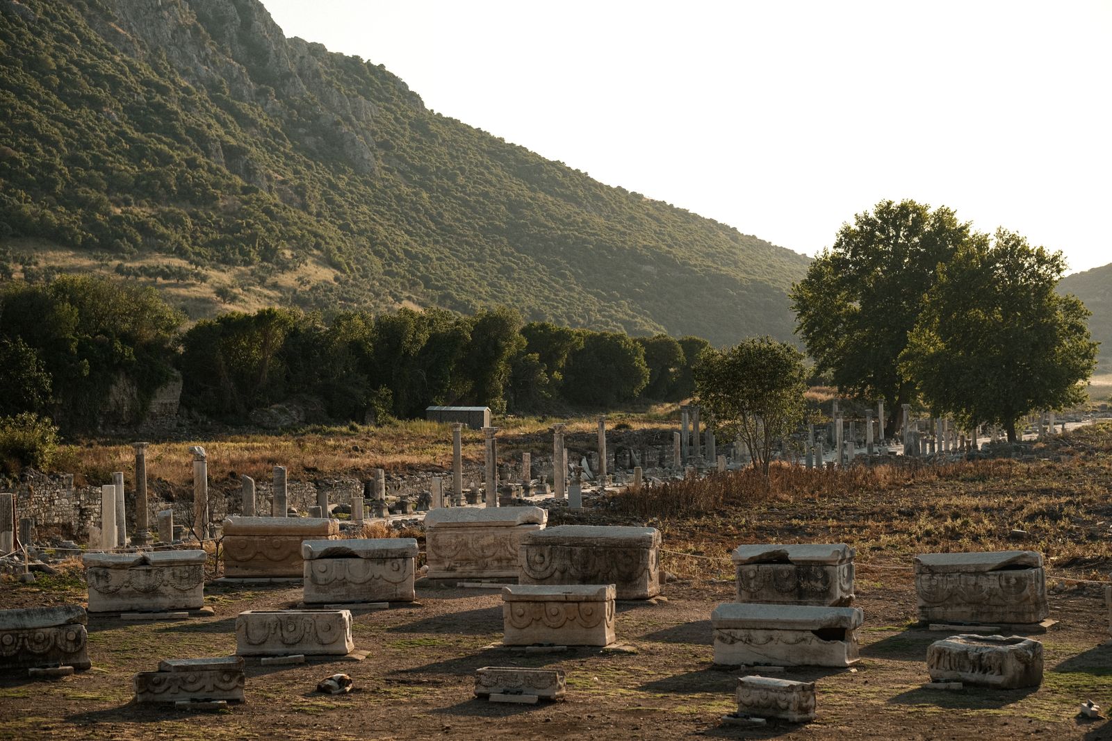 Bibliothèque de Celsus sur le site antique d'Éphèse, Turquie