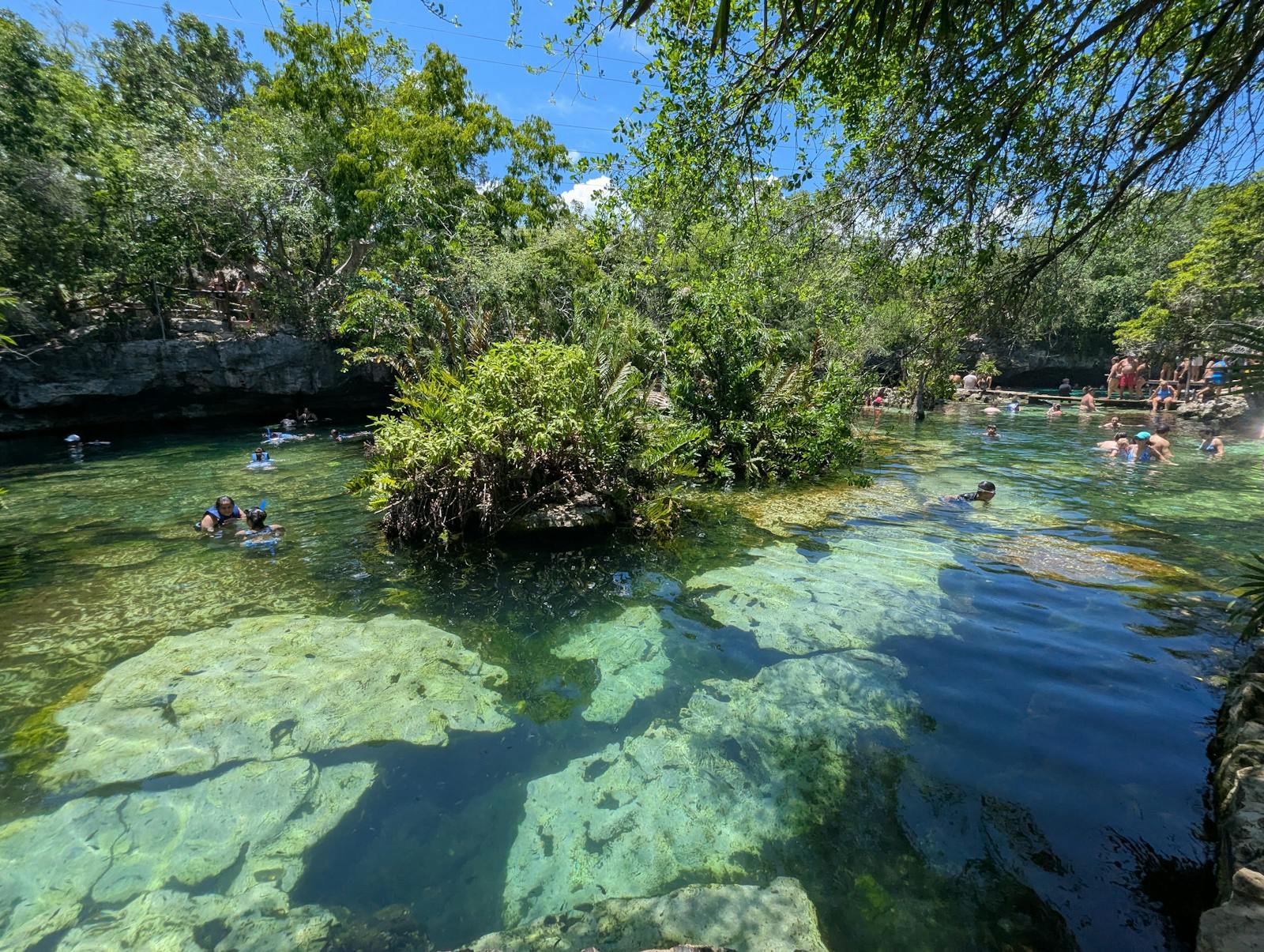 Baigneurs dans l'eau claire d'un cenote entouré de verdure près de Playa del Carmen