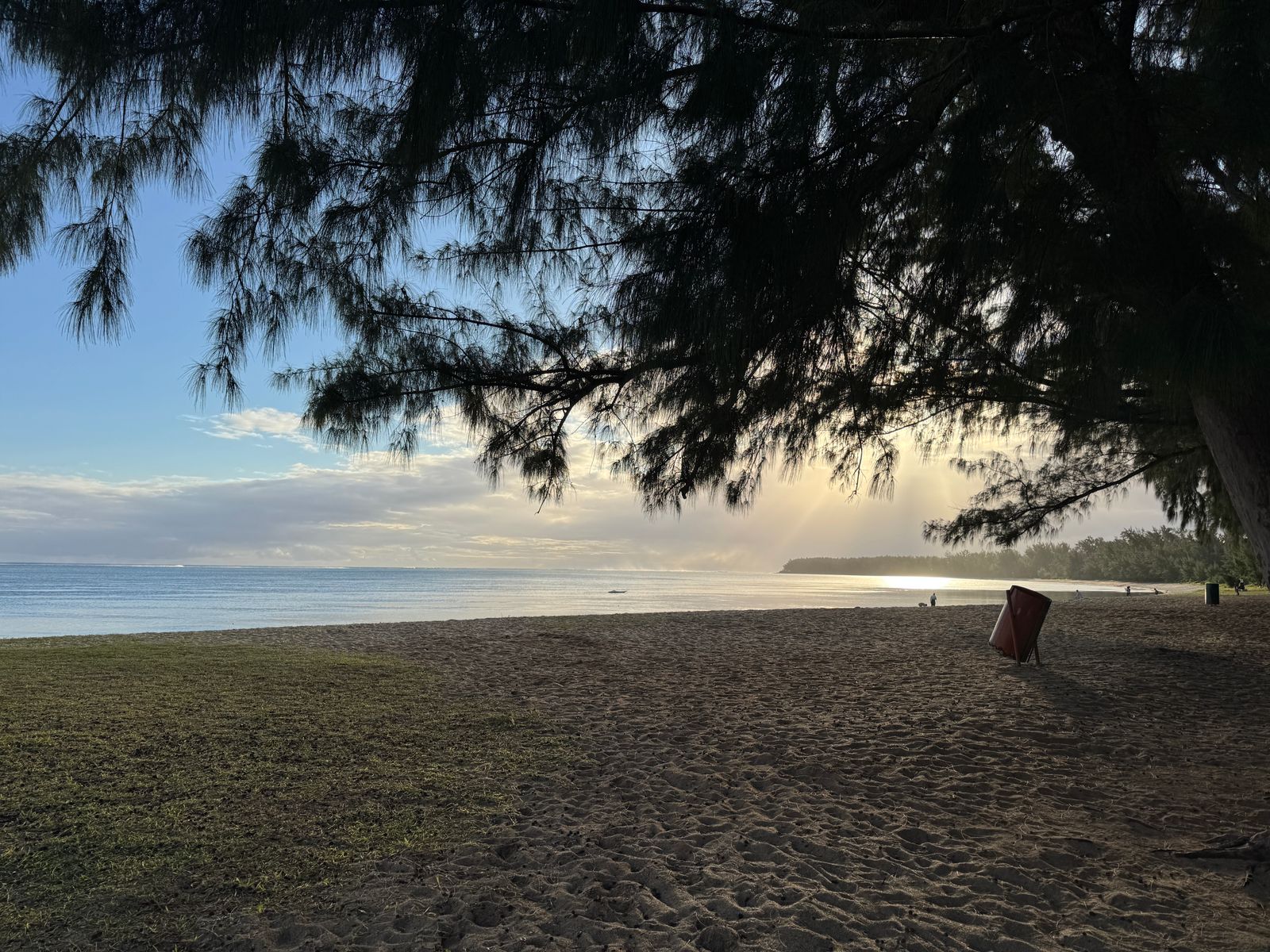 Plage bordée de filaos à l'île Maurice