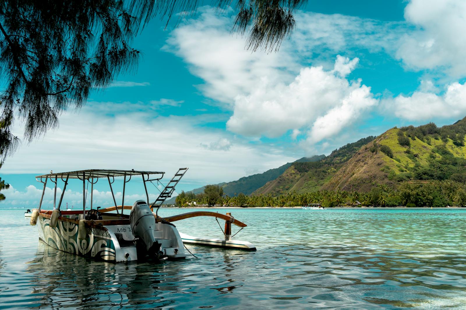 Baies de Cook et Opunohu Moorea