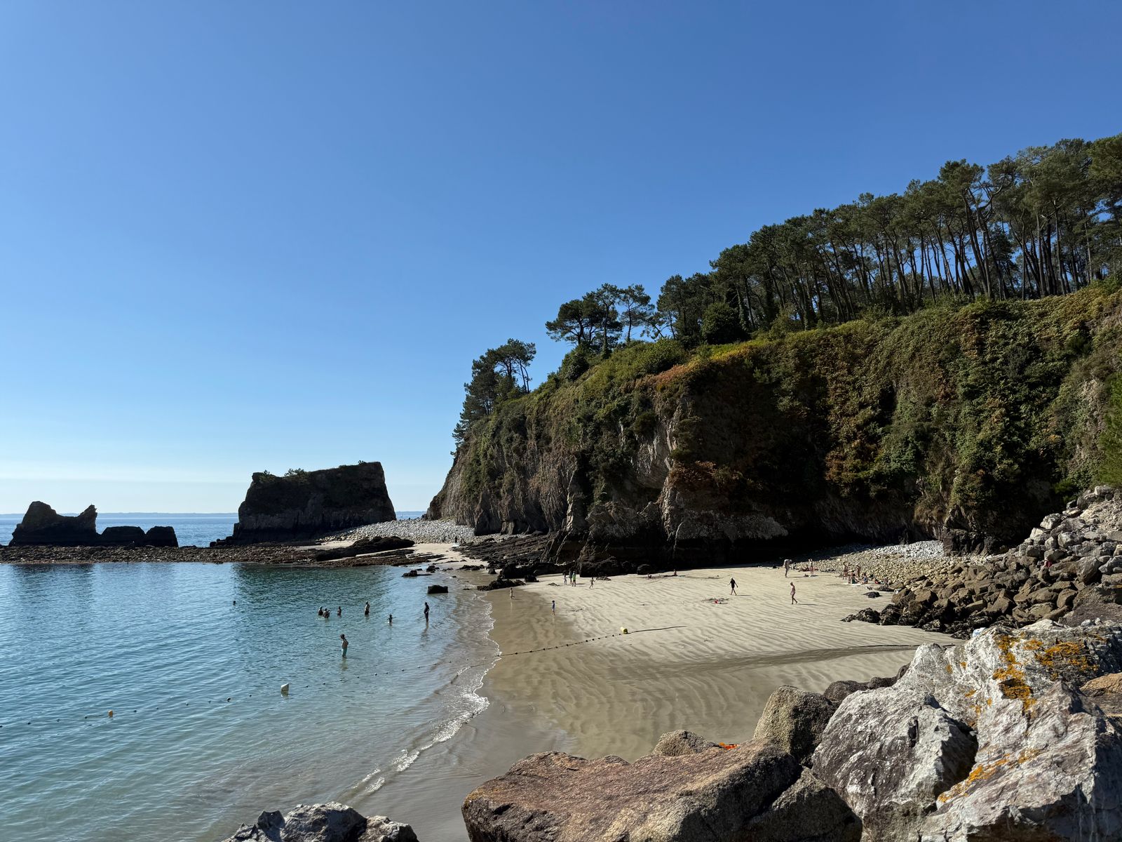 Crique de sable et falaises boisées de pins sur la presqu'île de Crozon