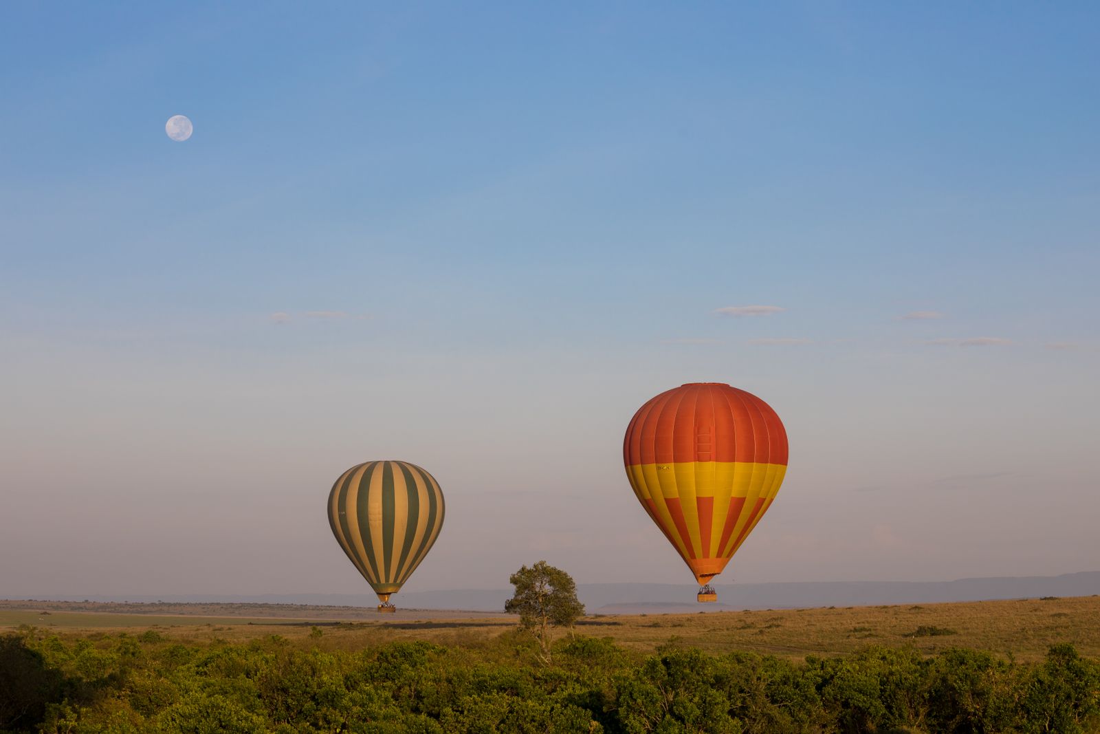 Montgolfières au lever du jour au-dessus de la savane est-africaine