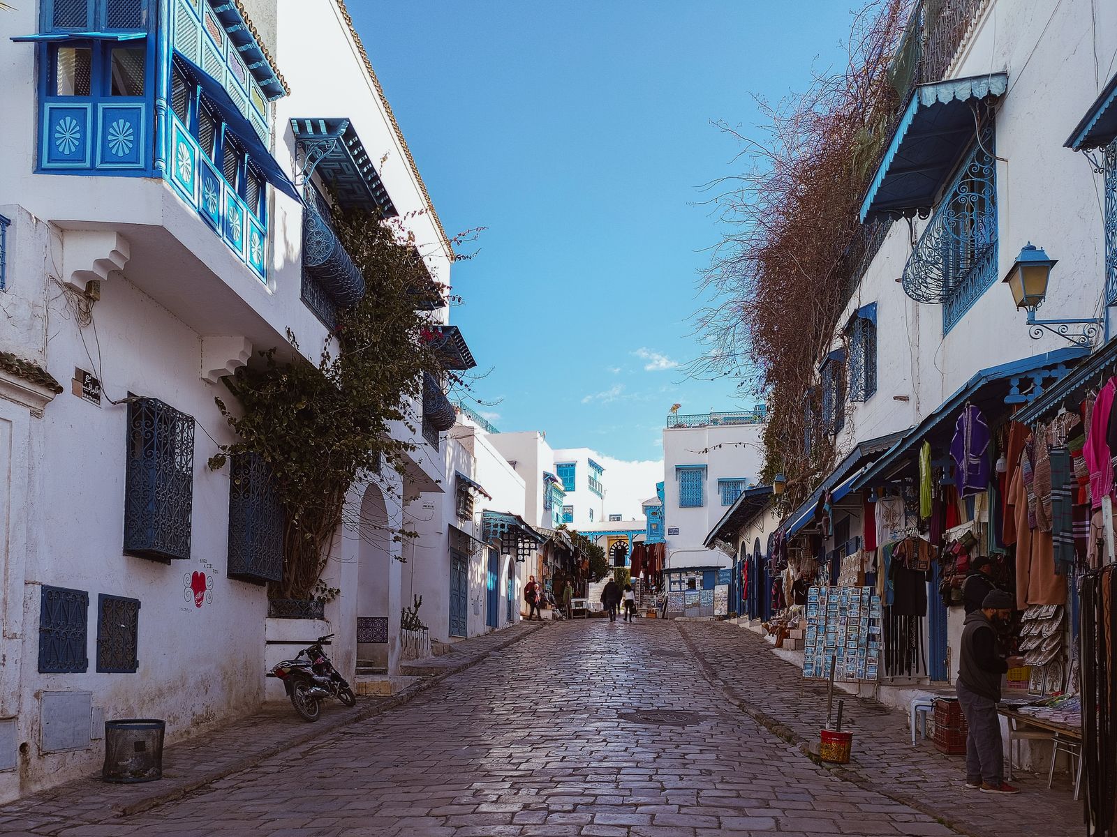 Ruelle bleue et blanche de Sidi Bou Saïd, Tunisie