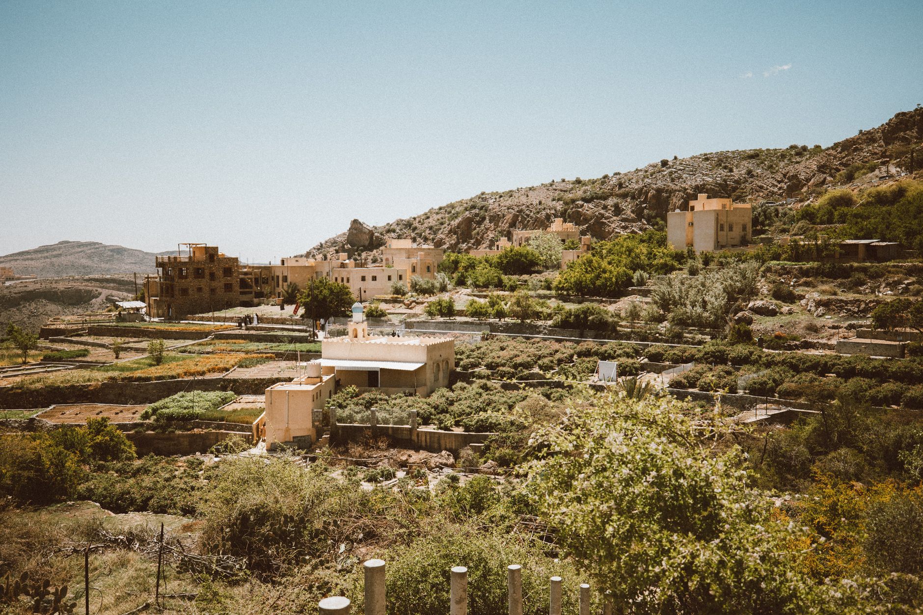 Cultures en terrasses et village de pierre du Jebel Akhdar, Oman