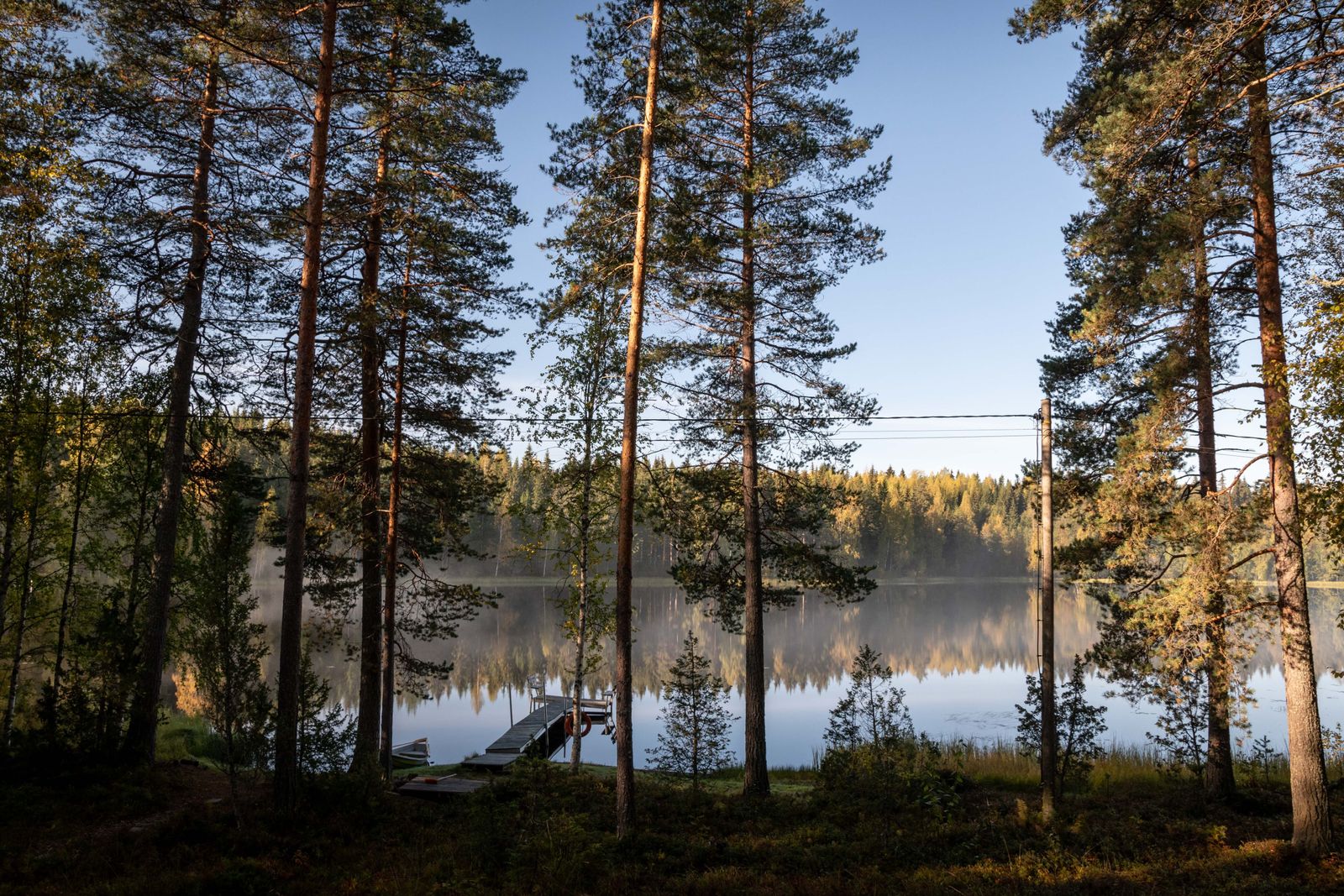 Lac finlandais tranquille bordé de grands pins se reflétant dans l'eau calme