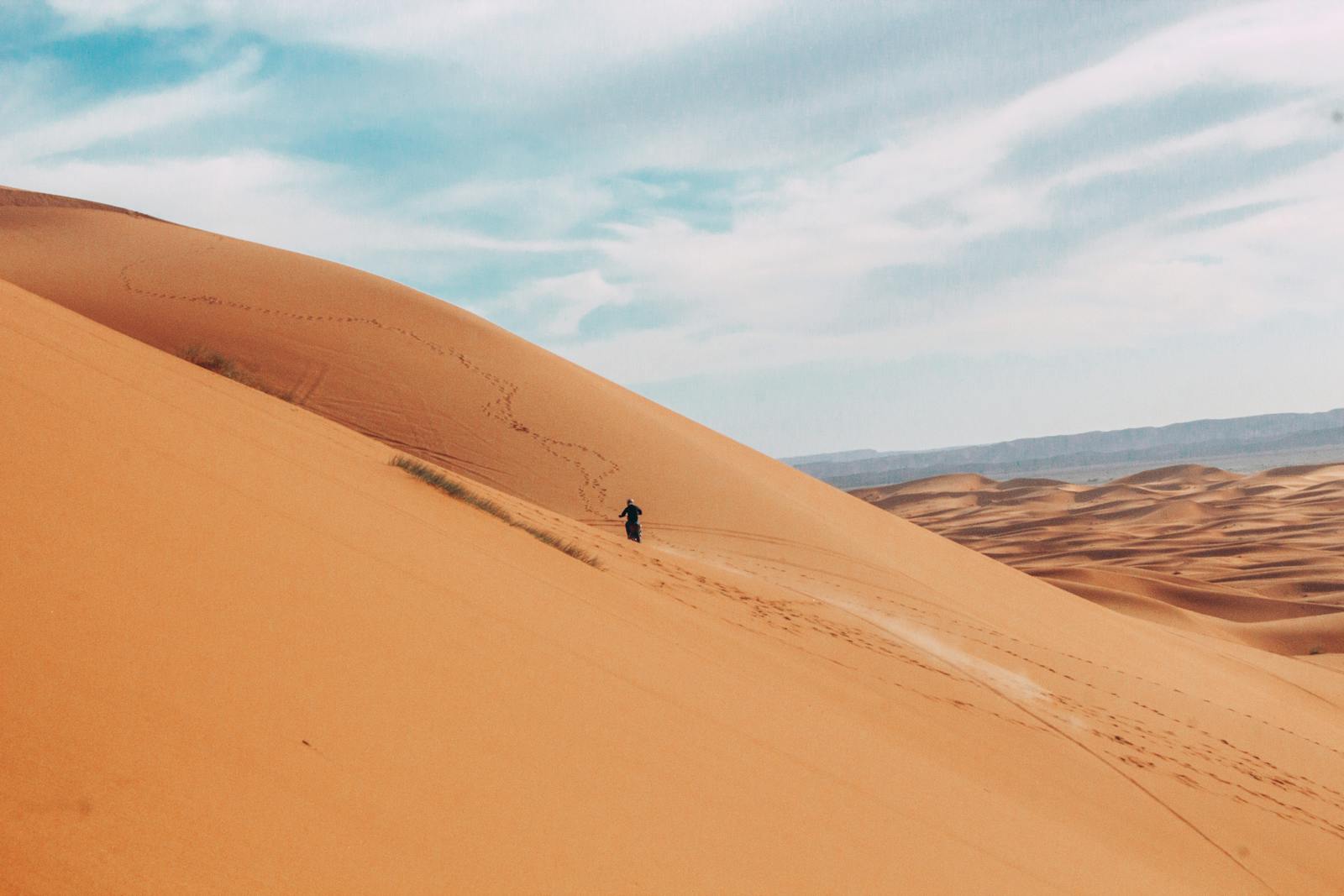 Caravane de dromadaires dans les dunes orangées du Sahara marocain