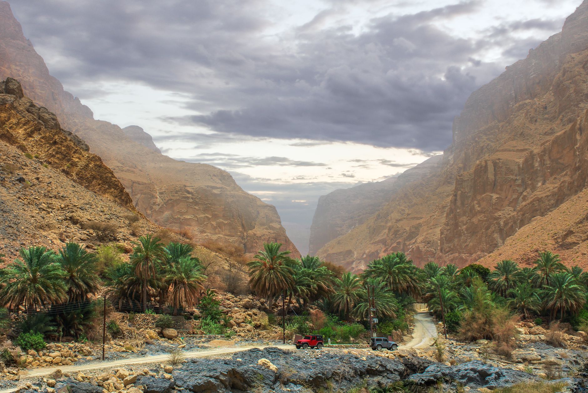 Vallée encaissée bordée de palmiers et de parois rocheuses, région de Mascate, Oman