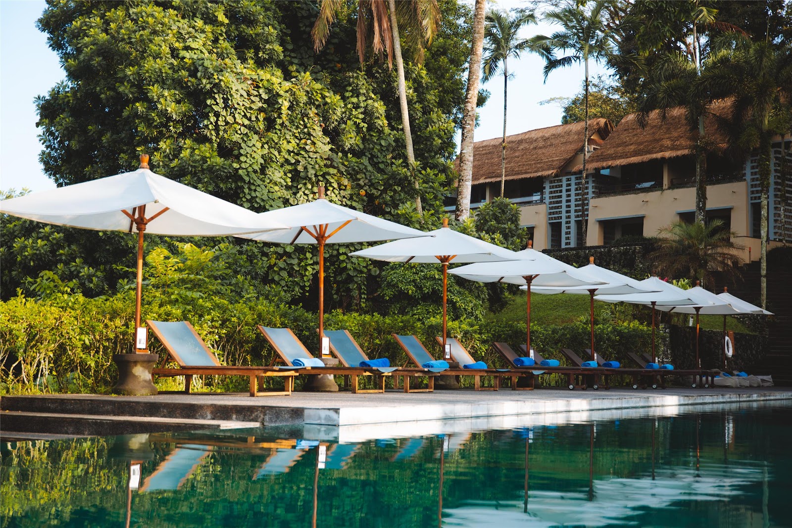 Vue aérienne de terrasses de riz à Bali