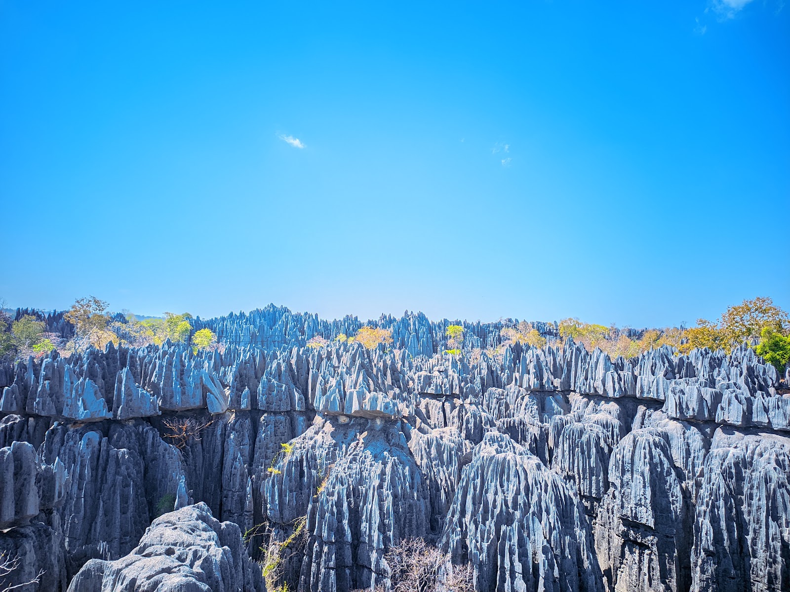 Formations rocheuses Tsingy de Bemaraha à Madagascar