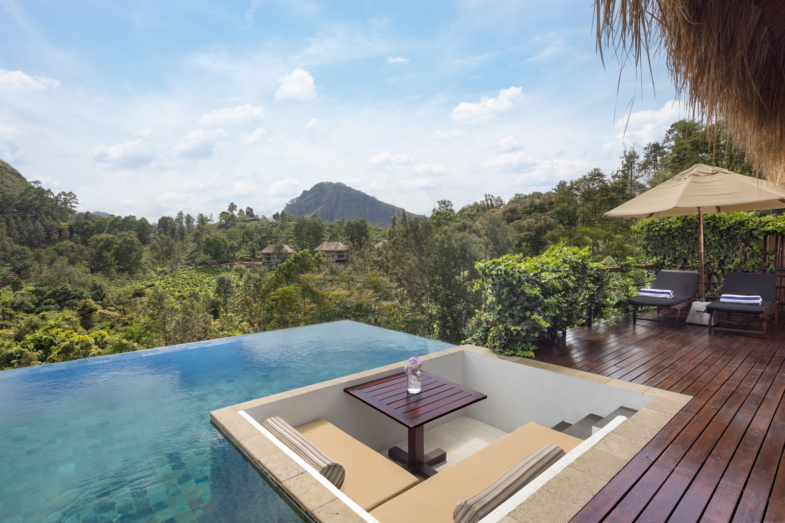Plantations de thé d\'Ella au Sri Lanka