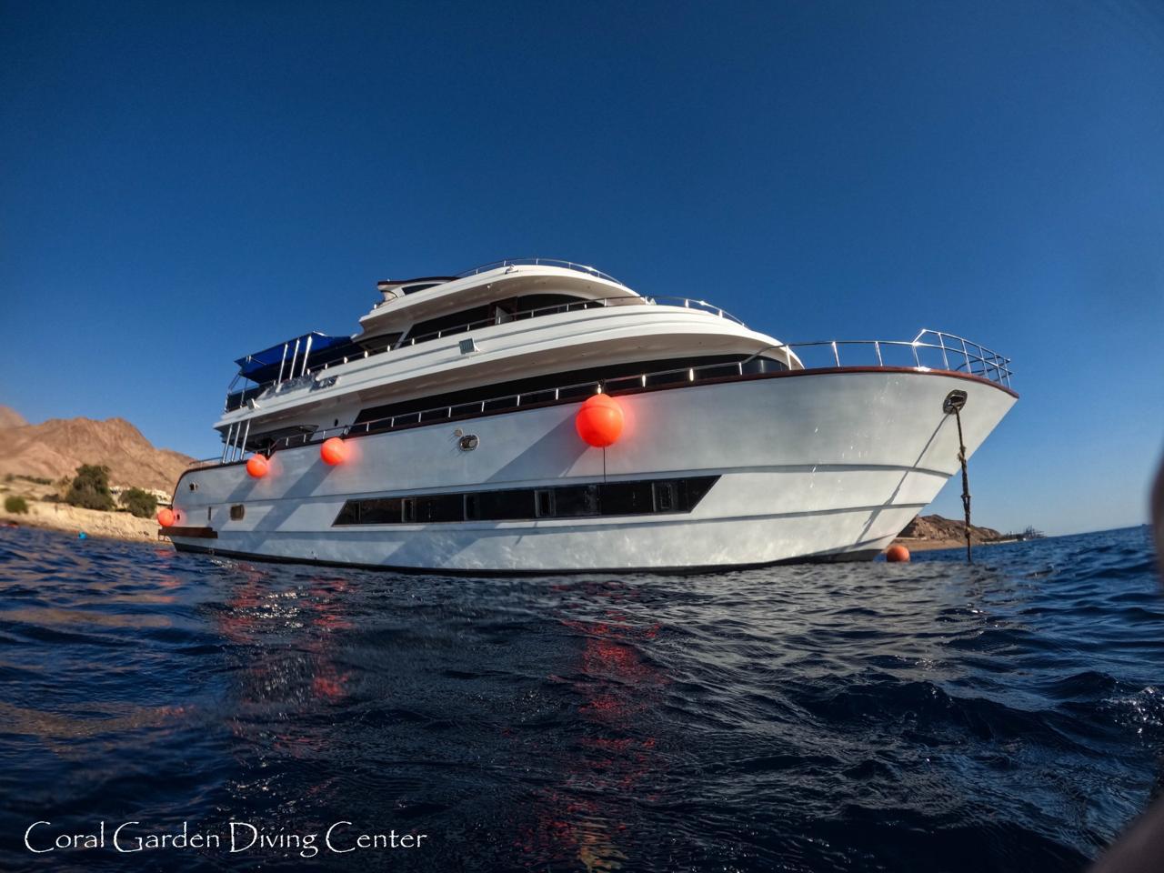 Mer Rouge à Aqaba en Jordanie