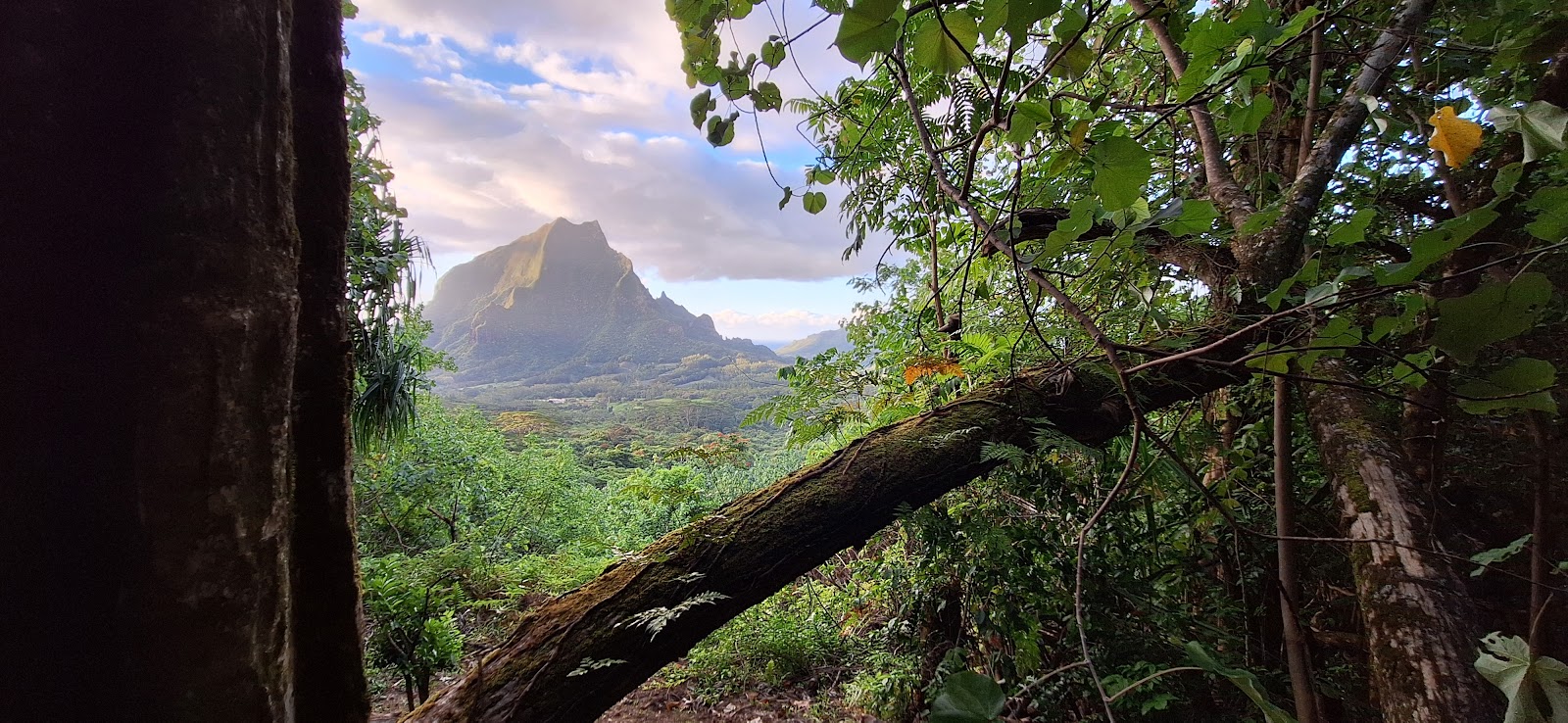 Vue panoramique des baies de Moorea