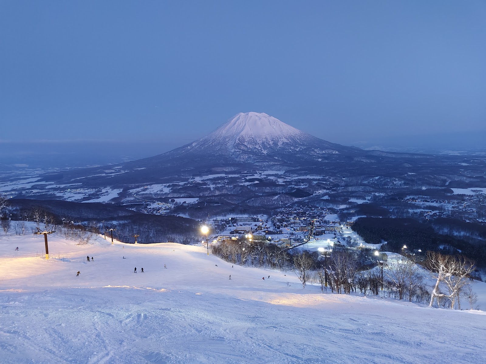 Skieur dans la poudreuse à Niseko, Hokkaido sous les arbres enneigés