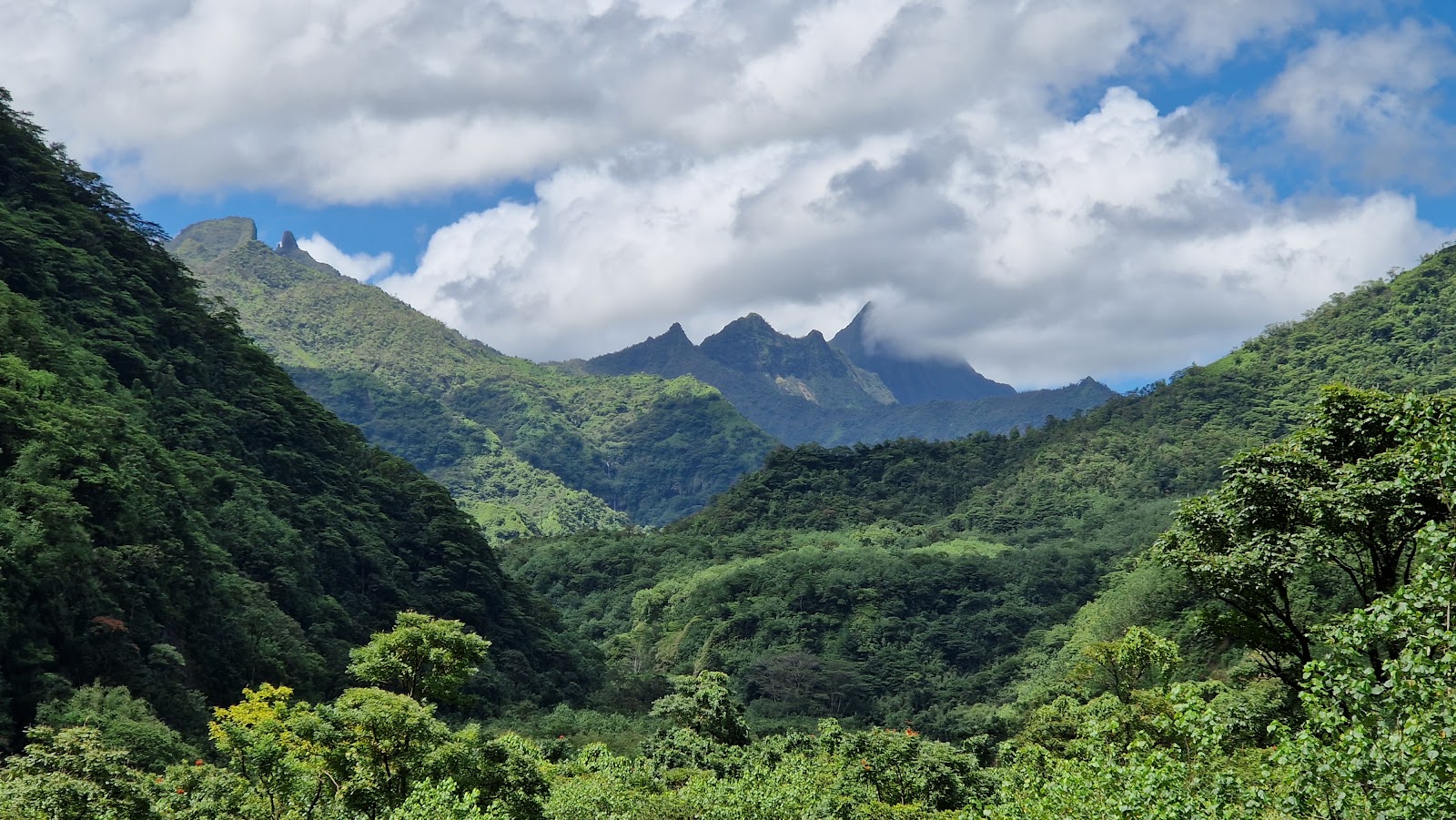 Vallée Papenoo de Tahiti avec jungle dense