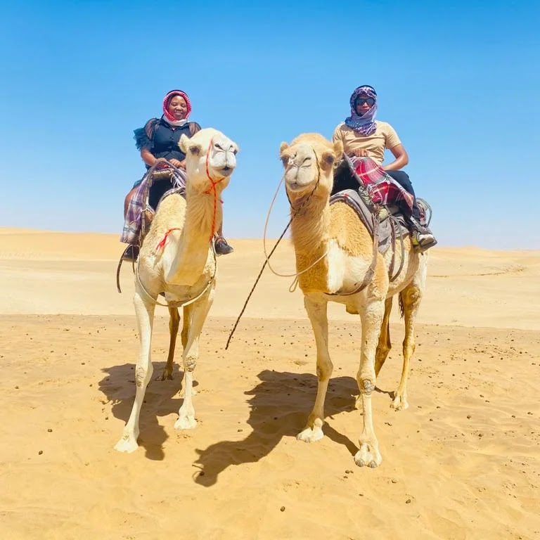 Sandboard sur une grande dune près de Swakopmund, Namibie