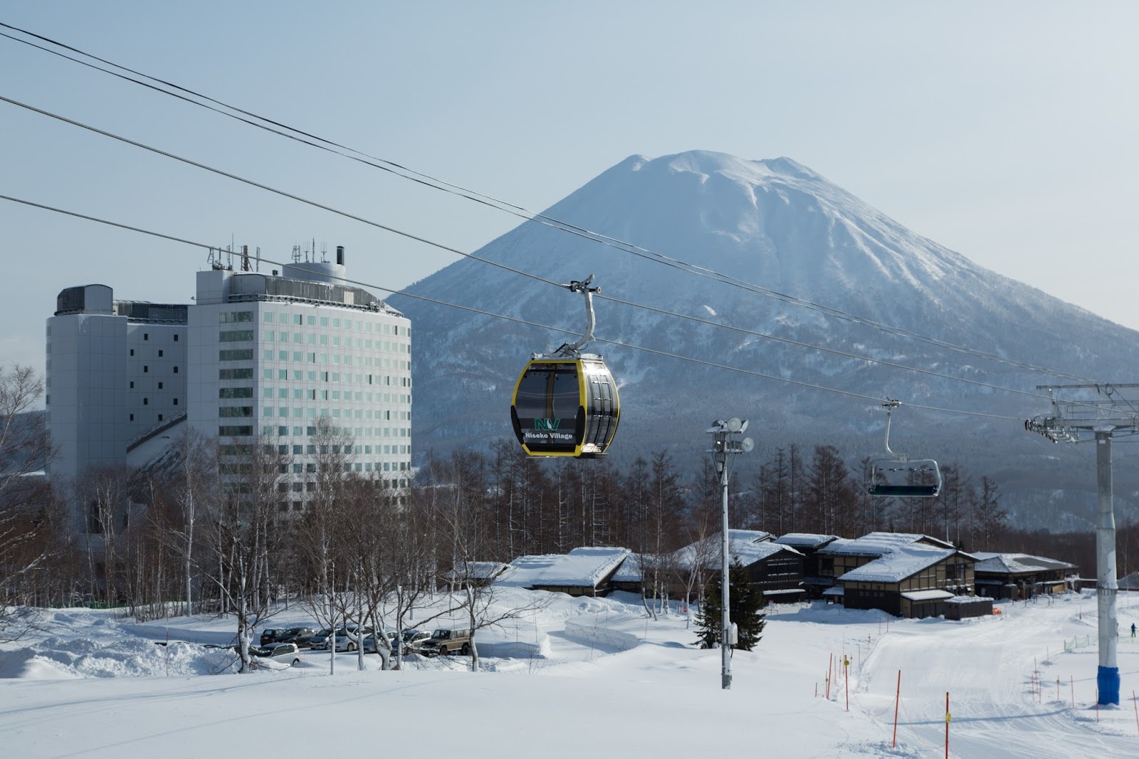 Skieur dans la poudreuse à Niseko, Hokkaido sous les arbres enneigés