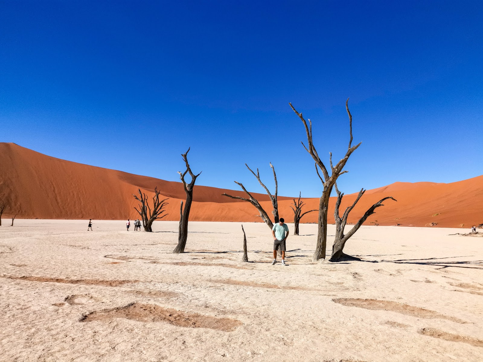 Dunes orange de Sossusvlei et arbres pétrifiés de Deadvlei au lever du soleil, Namibie