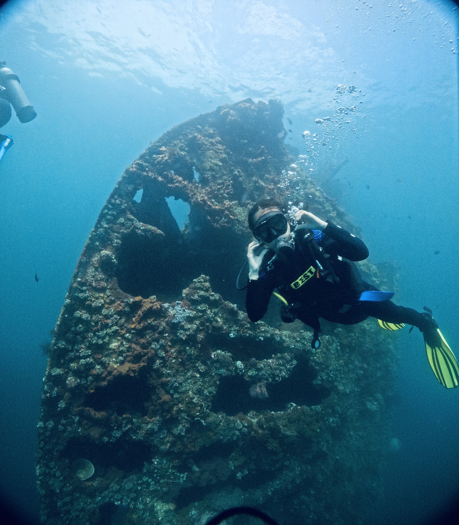 Falaise et mer à Bali, végétation luxuriante