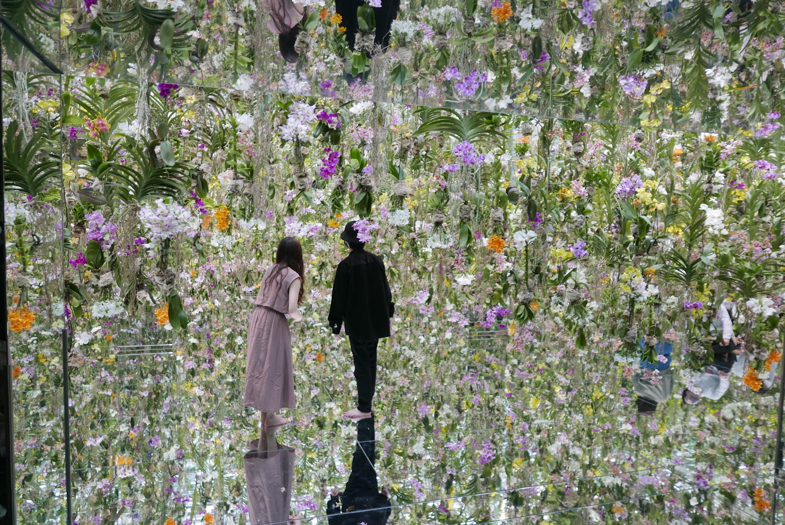 Installation immersive TeamLab à Tokyo avec lumières et eau