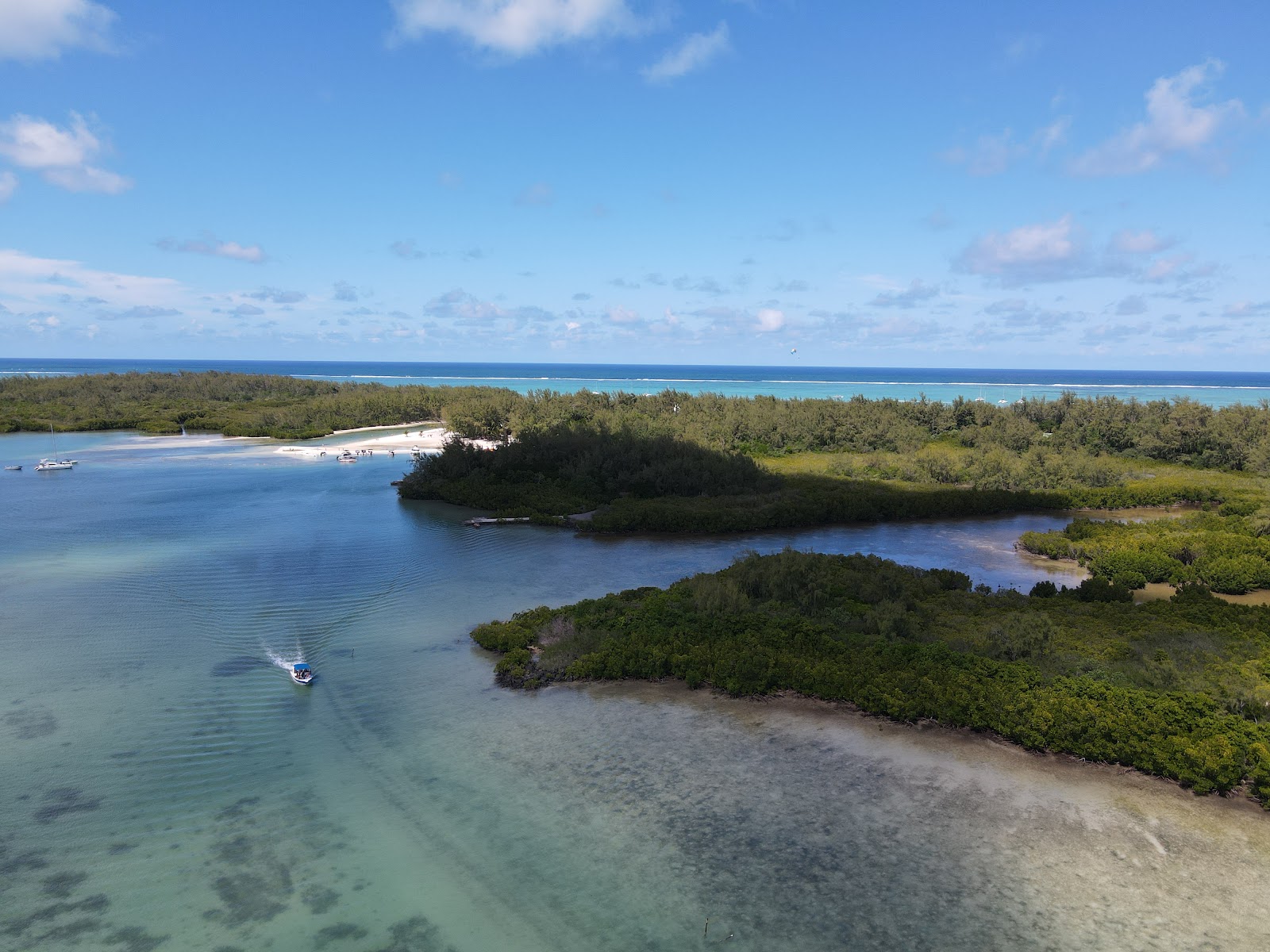 Plage de l\'Île aux Cerfs avec cocotiers