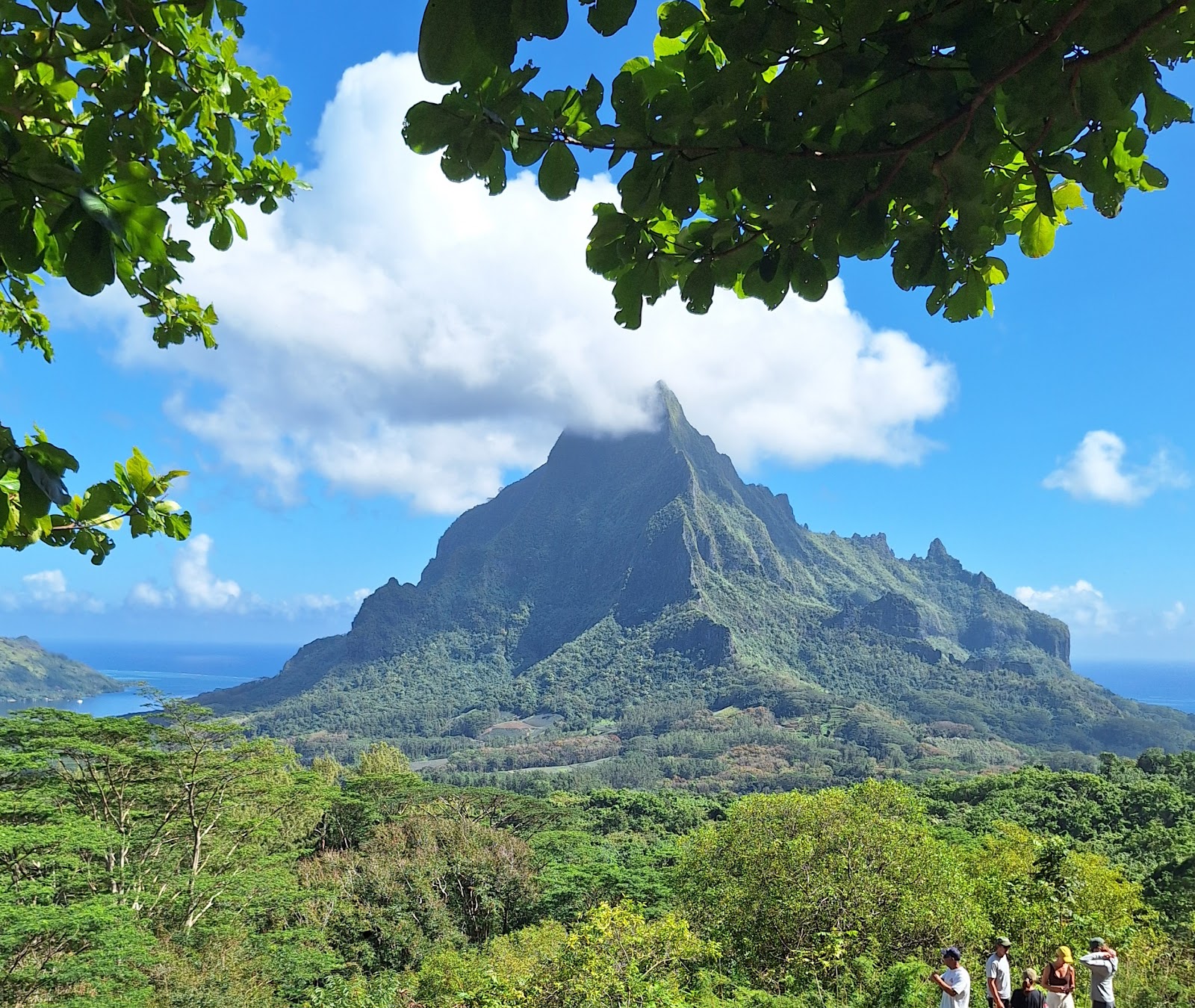 Vue panoramique des baies de Moorea