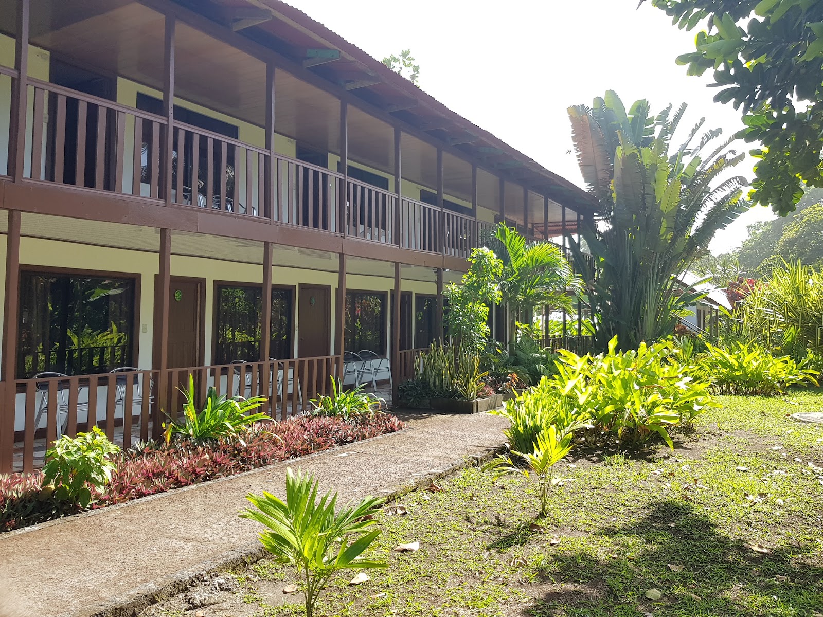 Hôtel en front de mer sur la plage de Tortuguero au Costa Rica